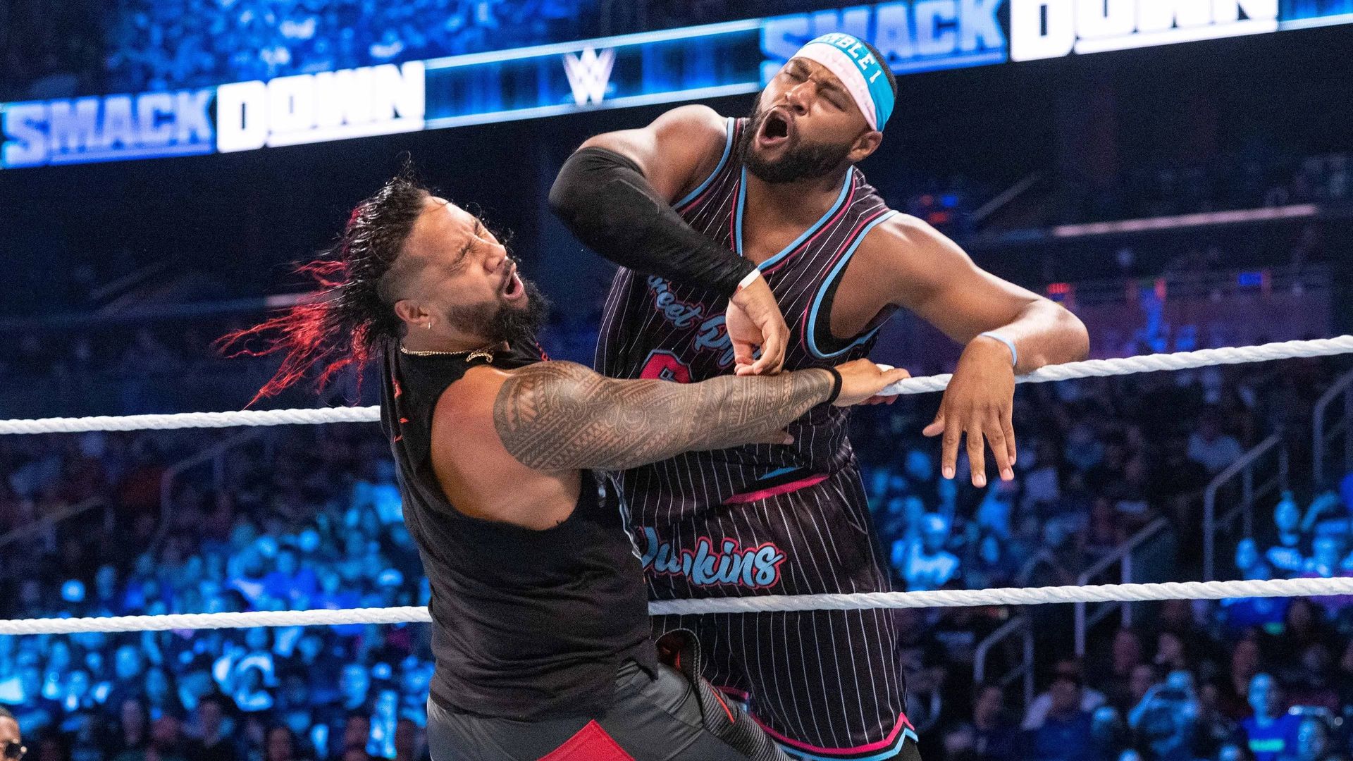 World Wrestling Federation Smackdown! background