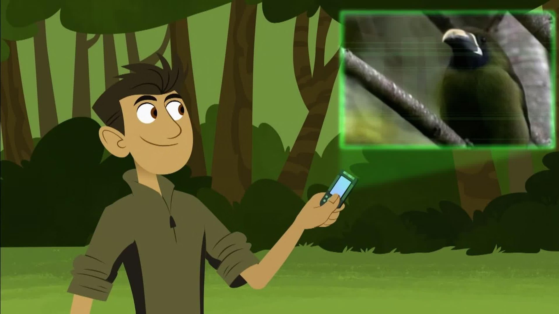 Wild Kratts background