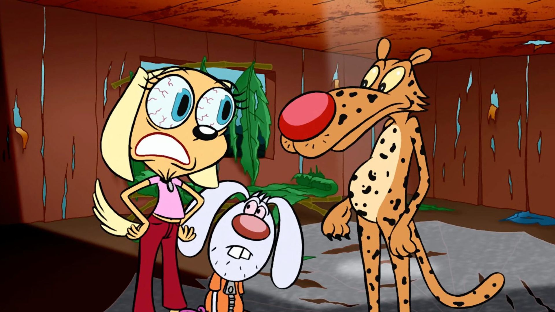 Brandy & Mr. Whiskers background