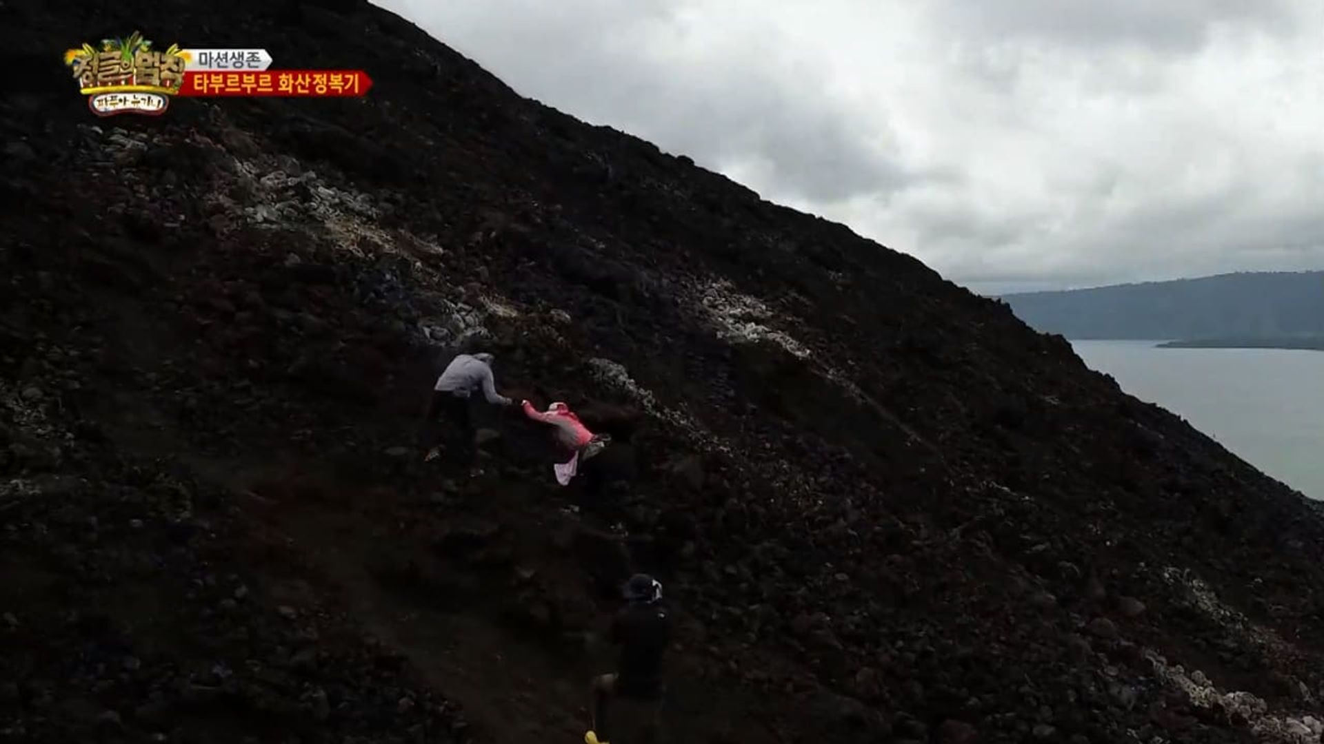 Law of the Jungle background
