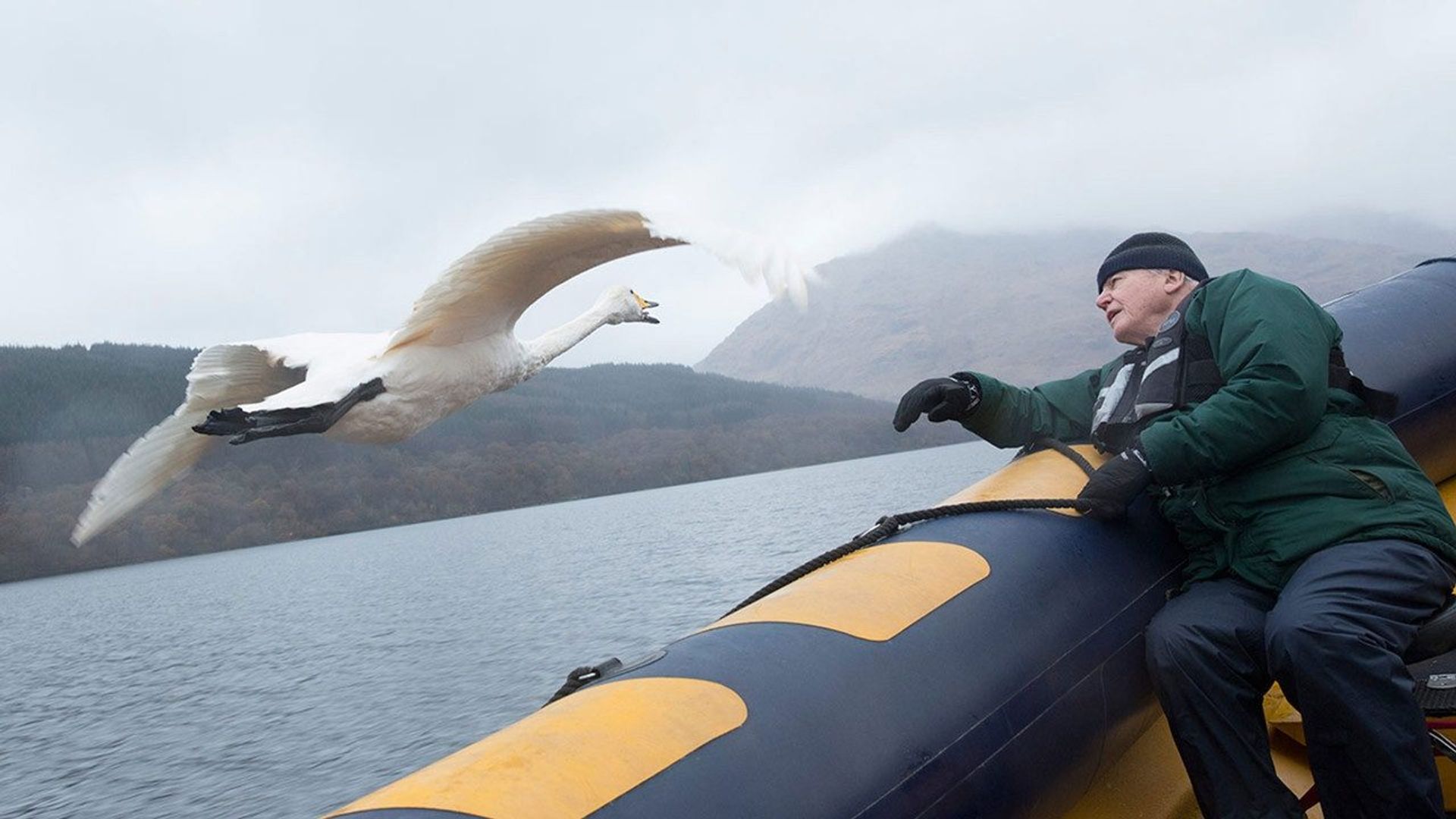 David Attenborough's Conquest of the Skies 3D background