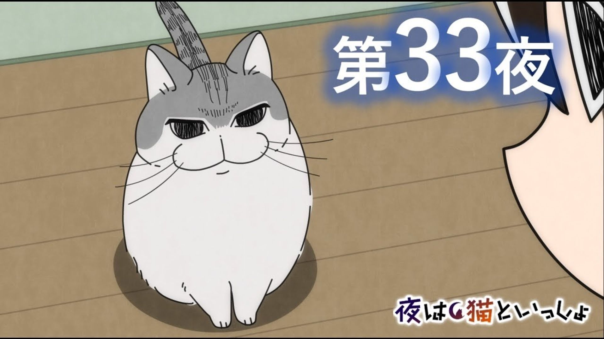 Yoru wa Neko to Issho background