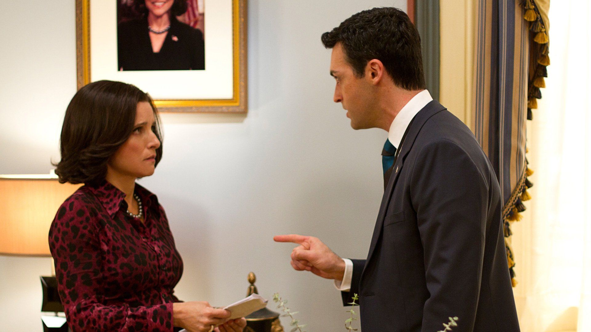 Veep background