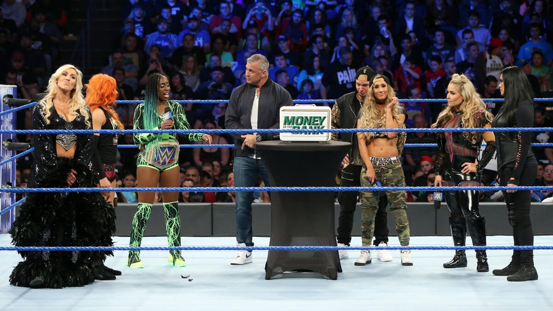 World Wrestling Federation Smackdown! background