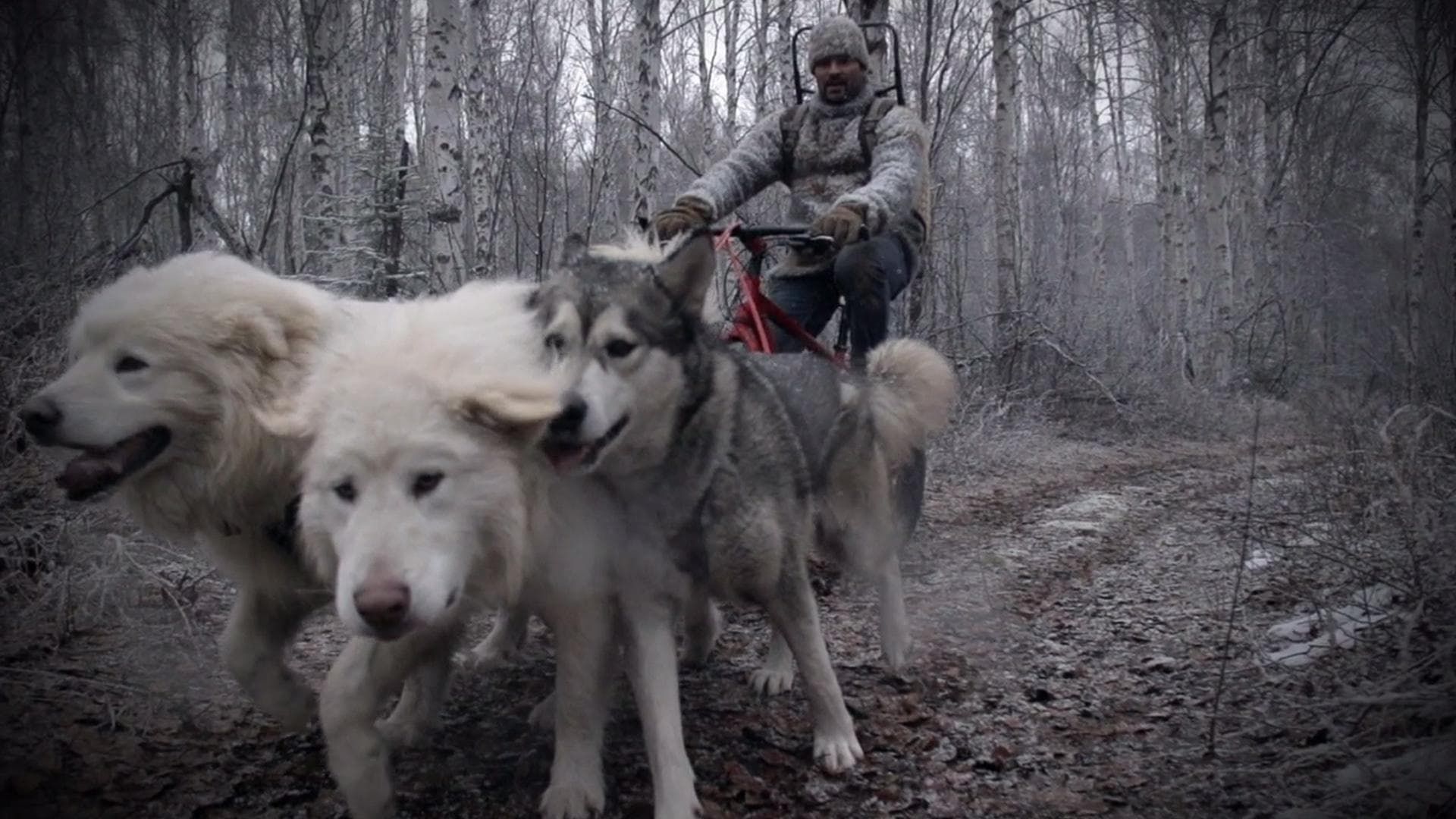 Life Below Zero: Next Generation background