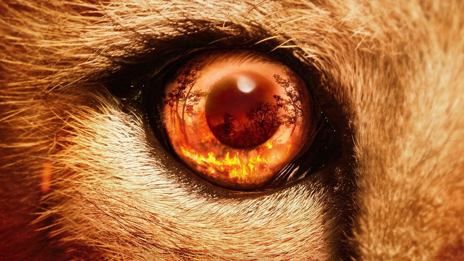 Predators background