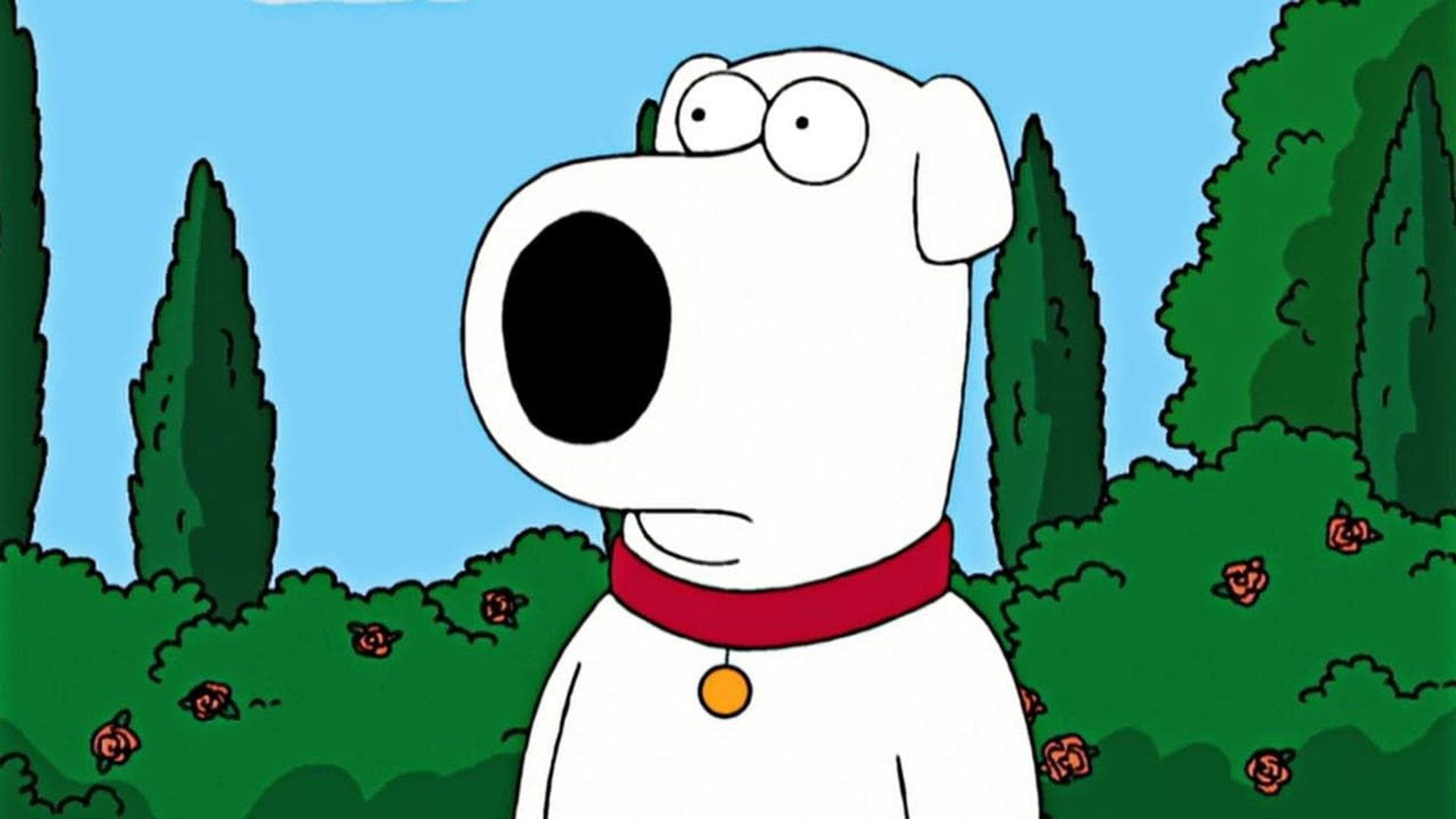 Family Guy background