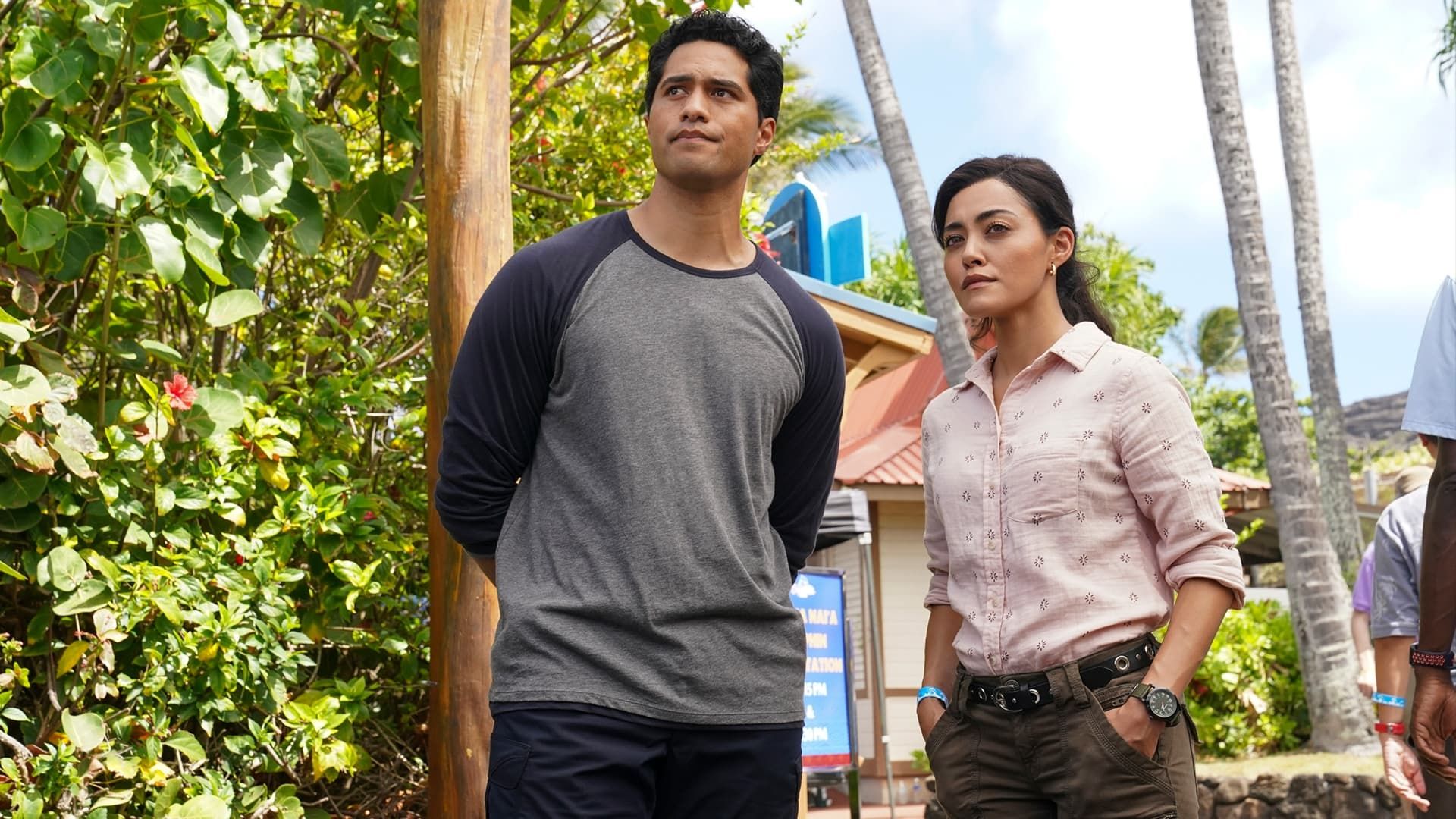 NCIS: Hawaii background