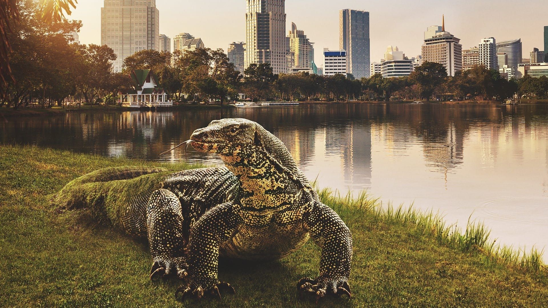 Asia background
