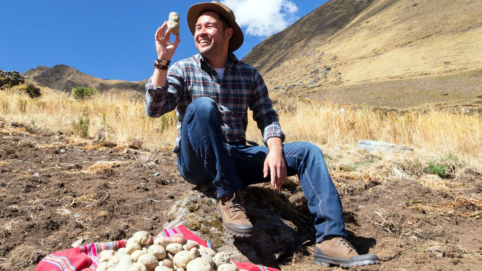 The Secrets of Your Food background