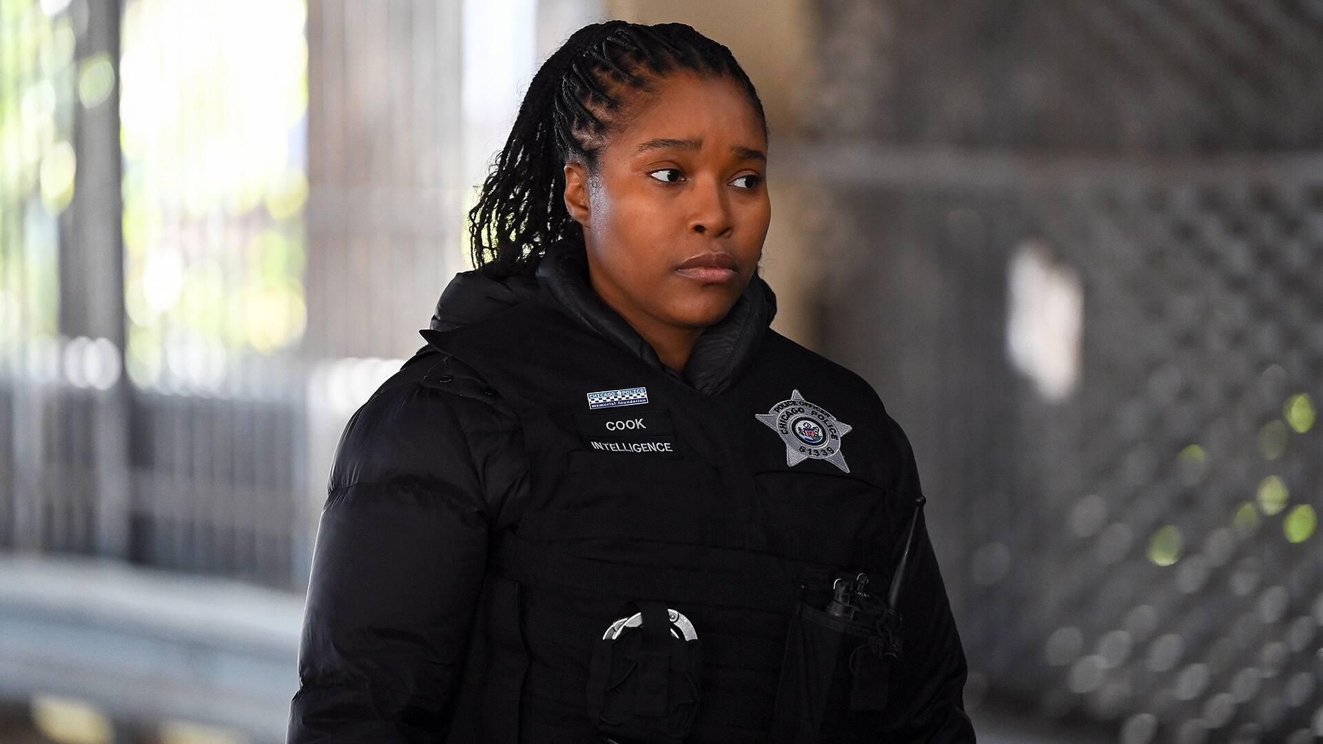 Chicago P.D. background