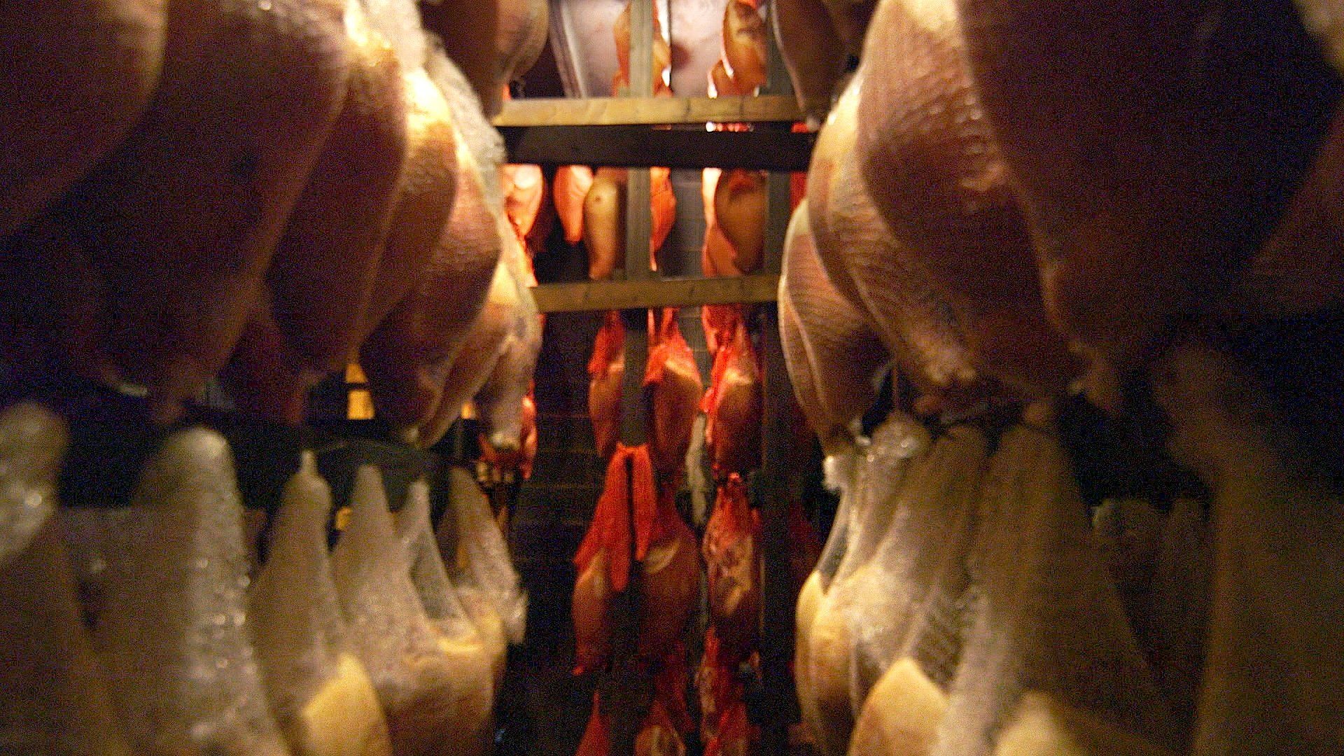 The Mind of a Chef background