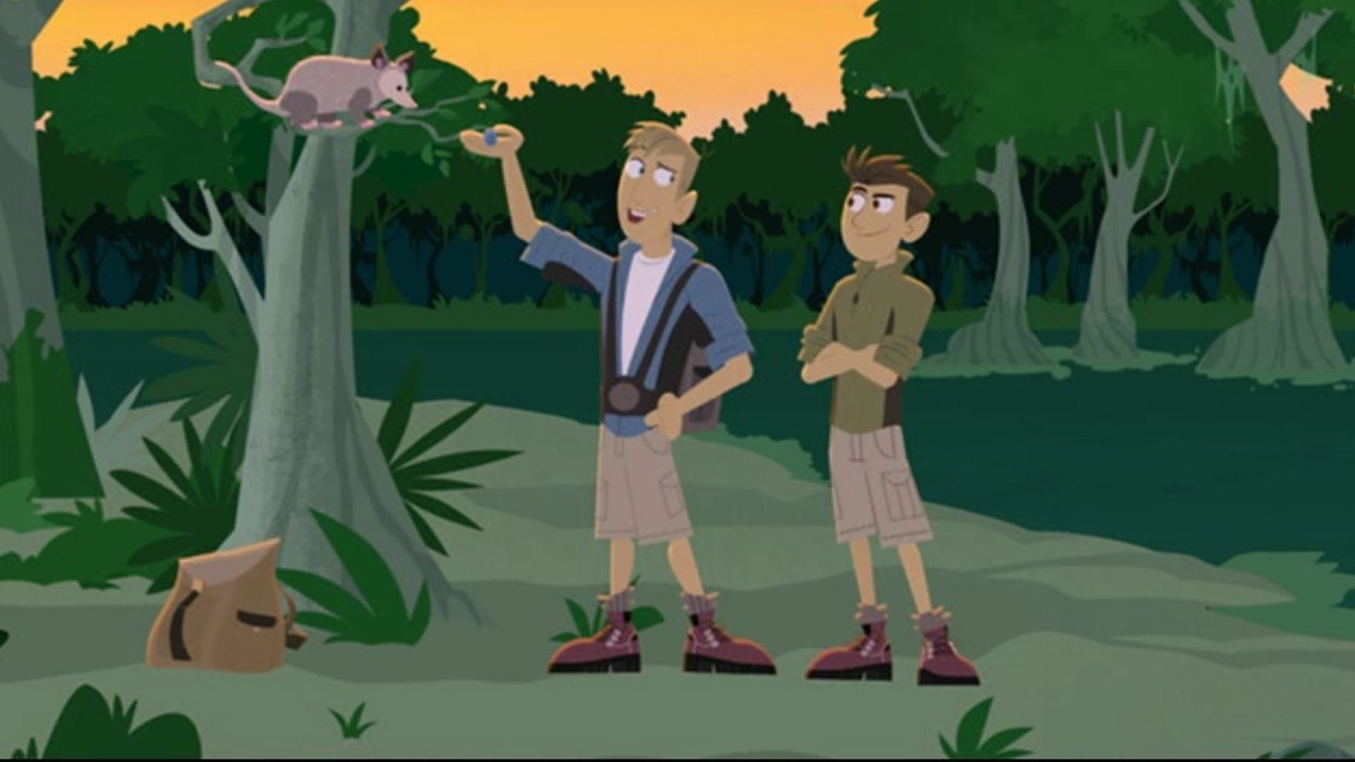 Wild Kratts background