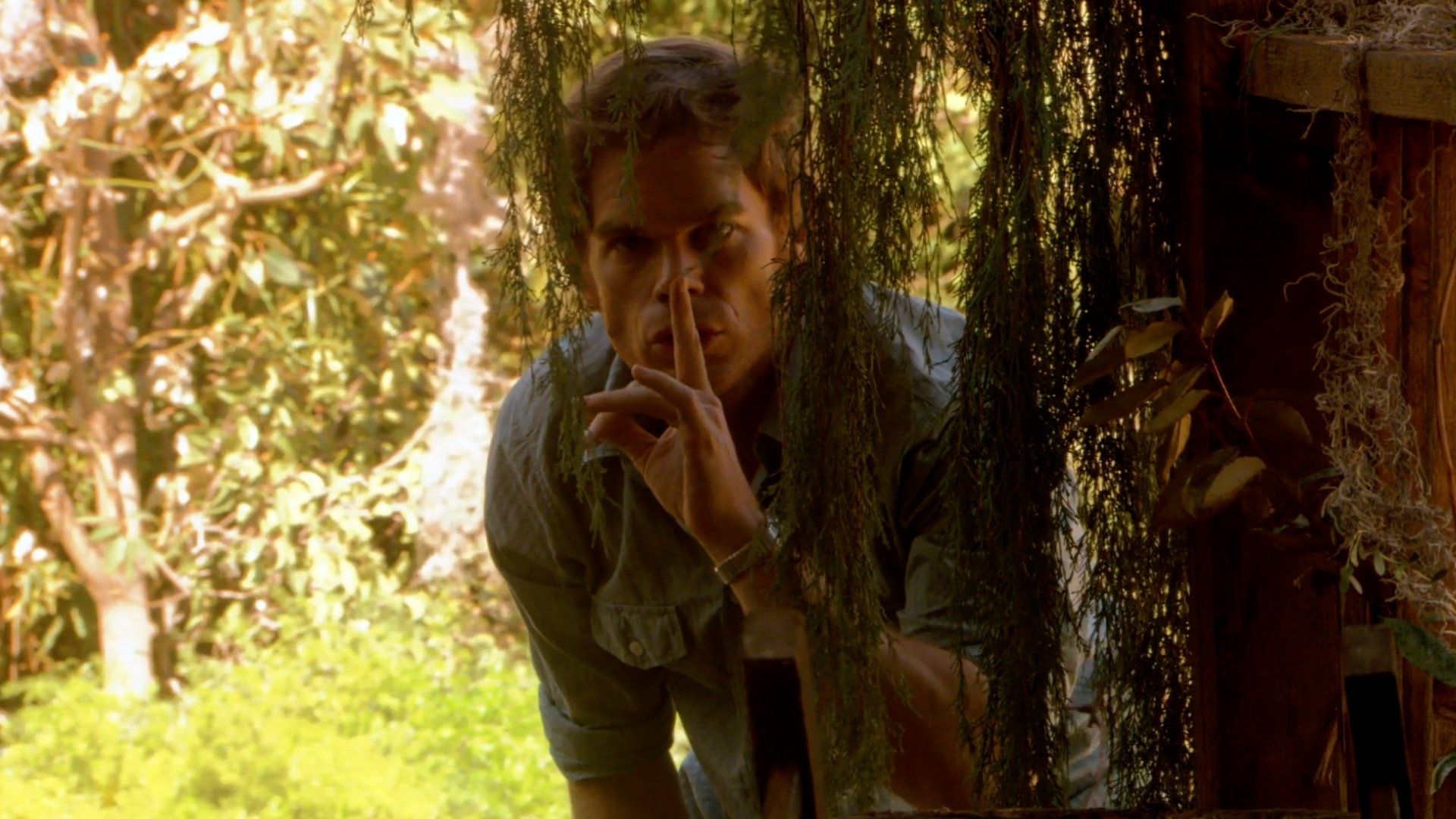 Dexter background