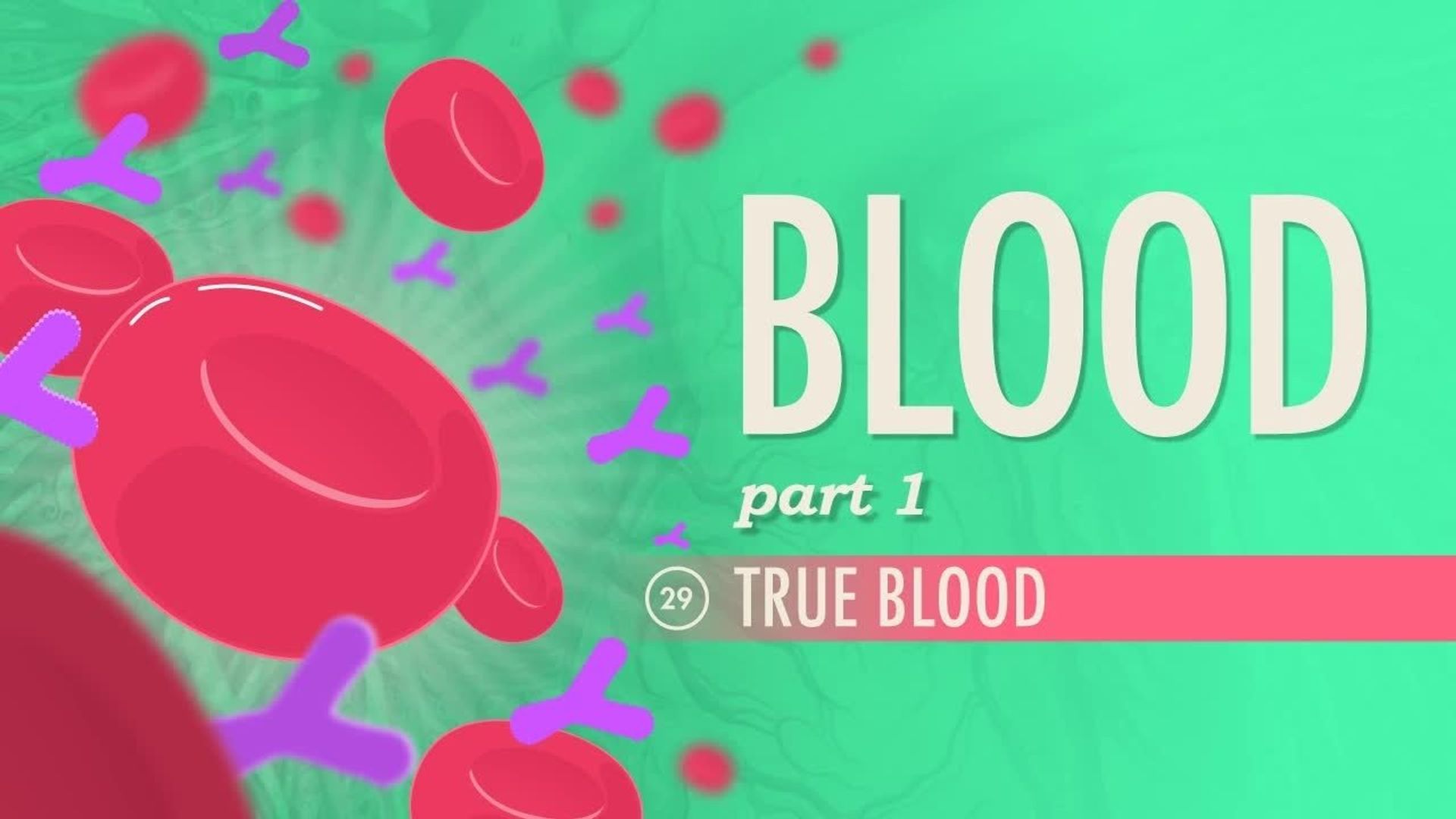Crash Course: Anatomy & Physiology background