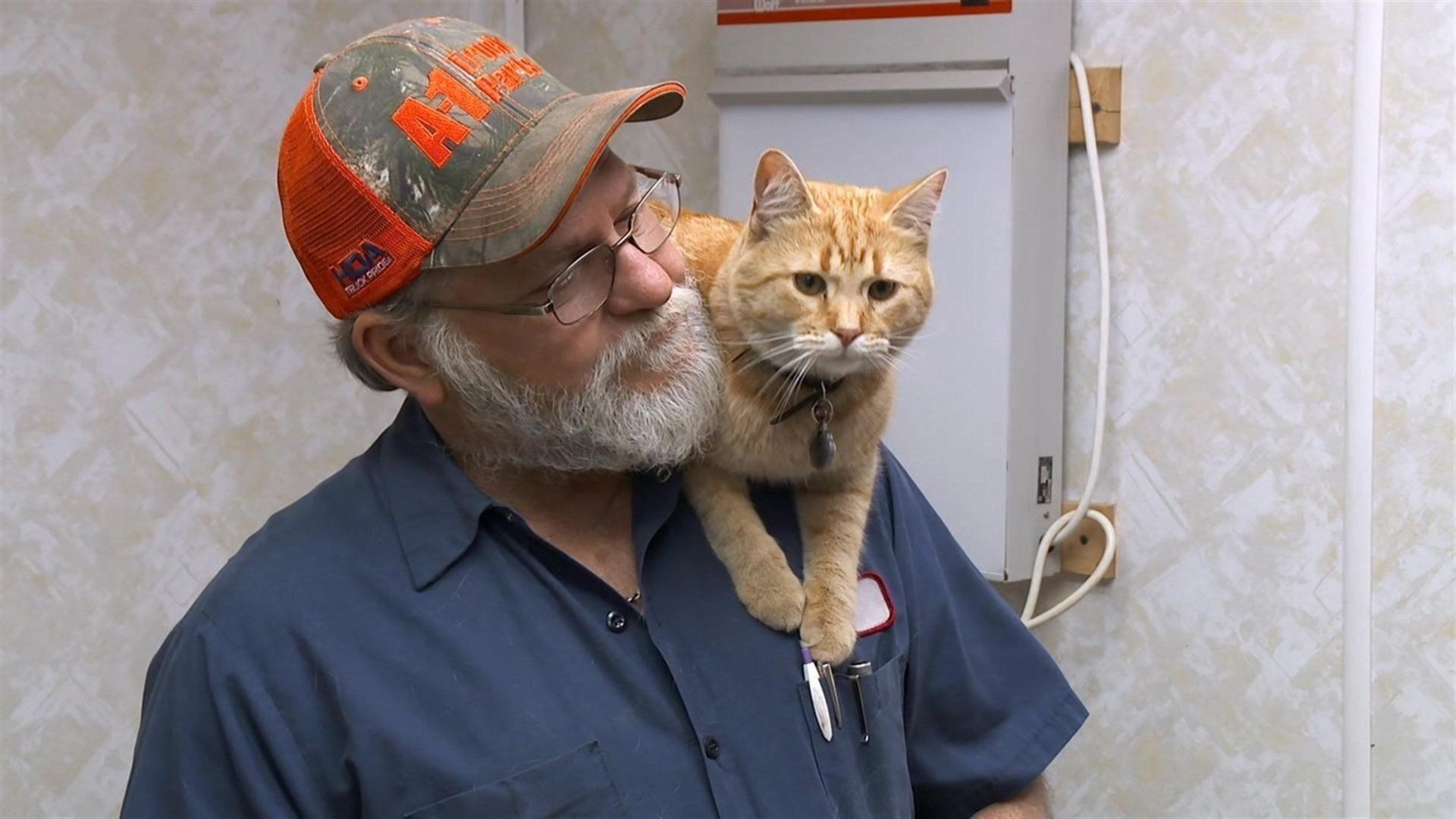 The Incredible Dr. Pol background