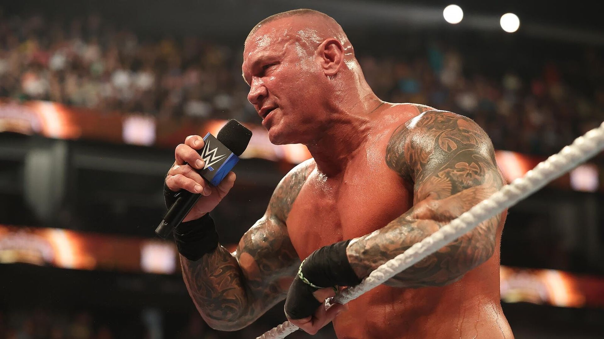 World Wrestling Federation Smackdown! background