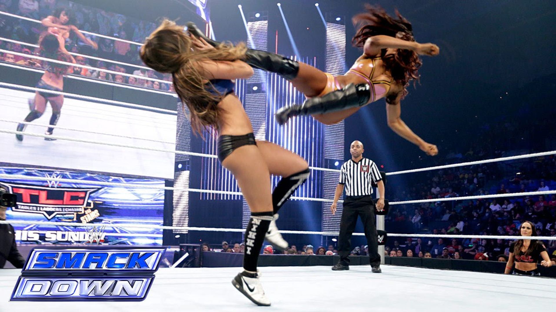 World Wrestling Federation Smackdown! background
