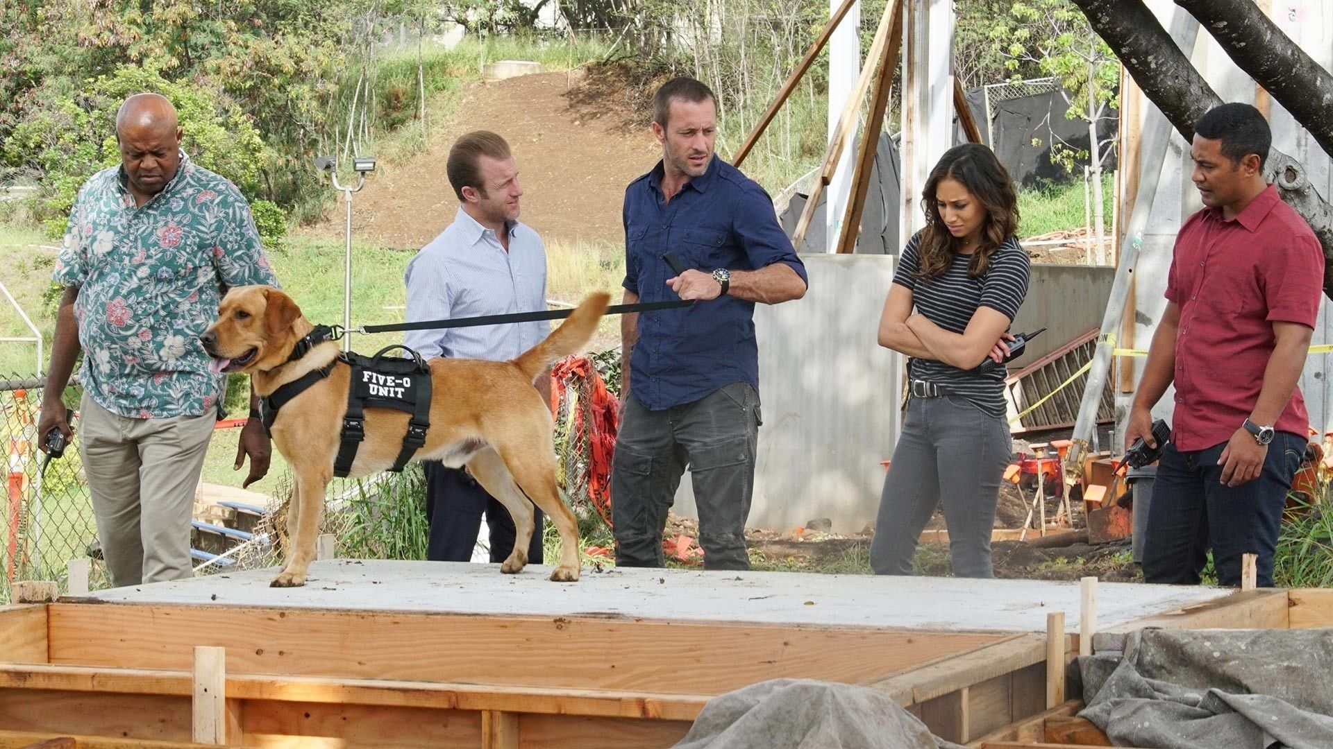 Hawaii Five-0 background