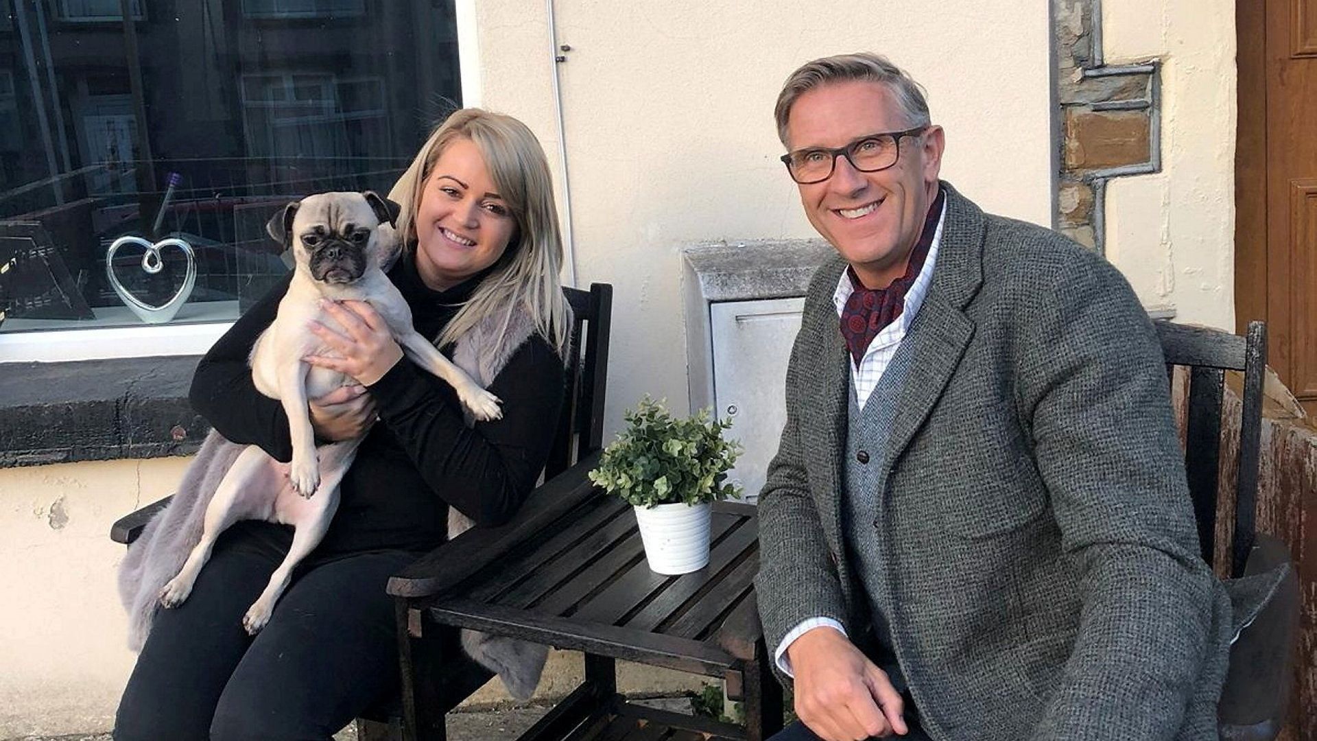 Dogs Behaving (Very) Badly background