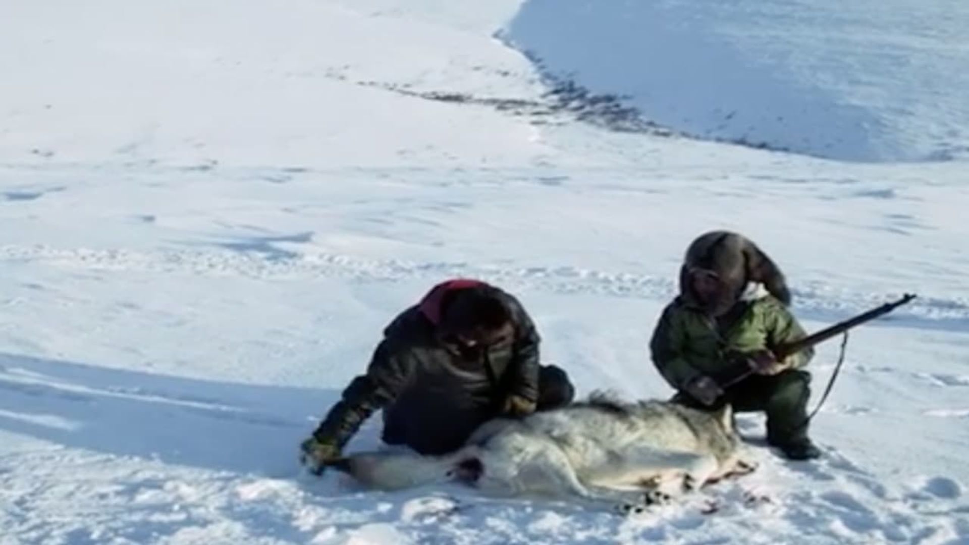 Life Below Zero background