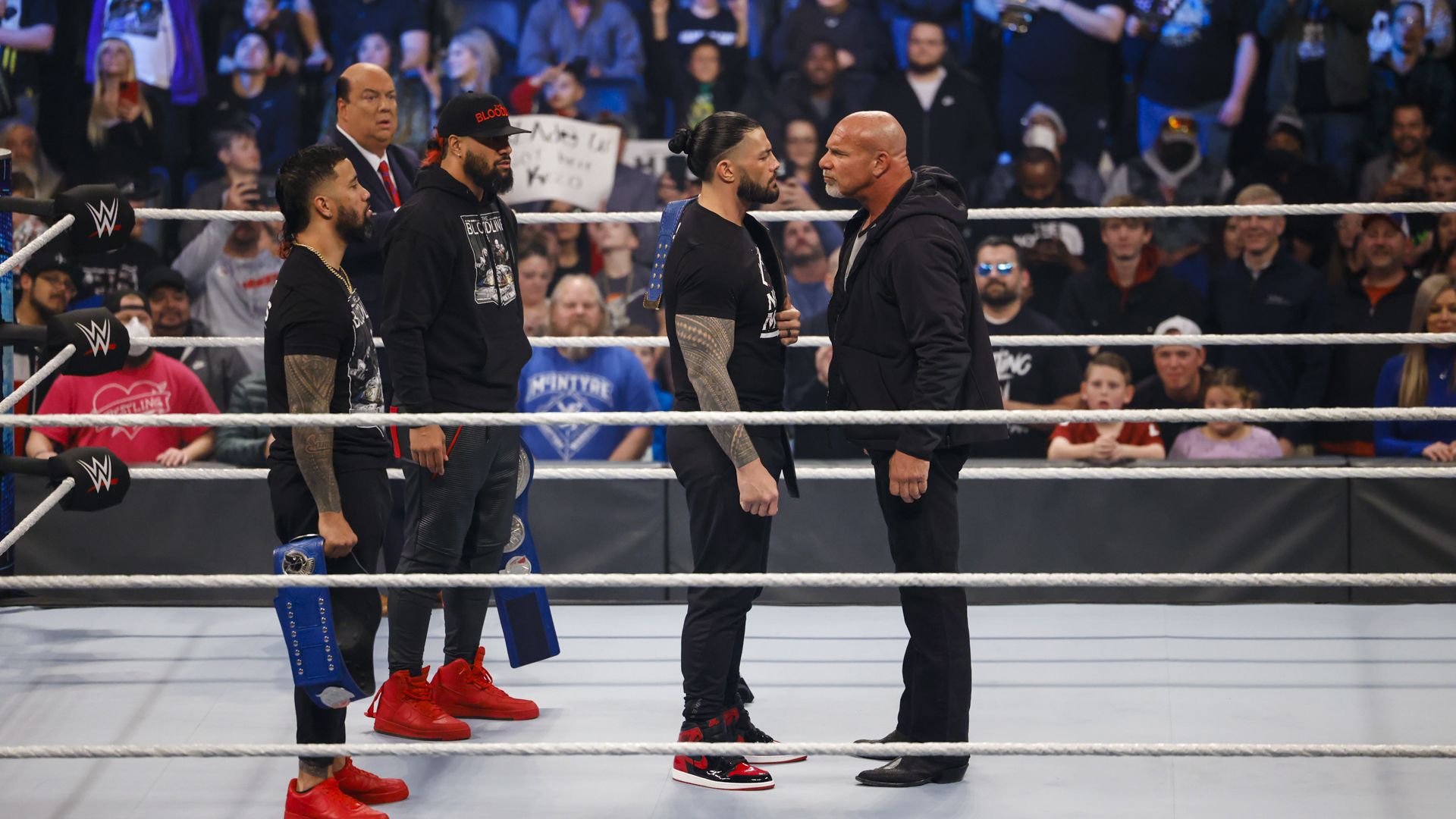 World Wrestling Federation Smackdown! background