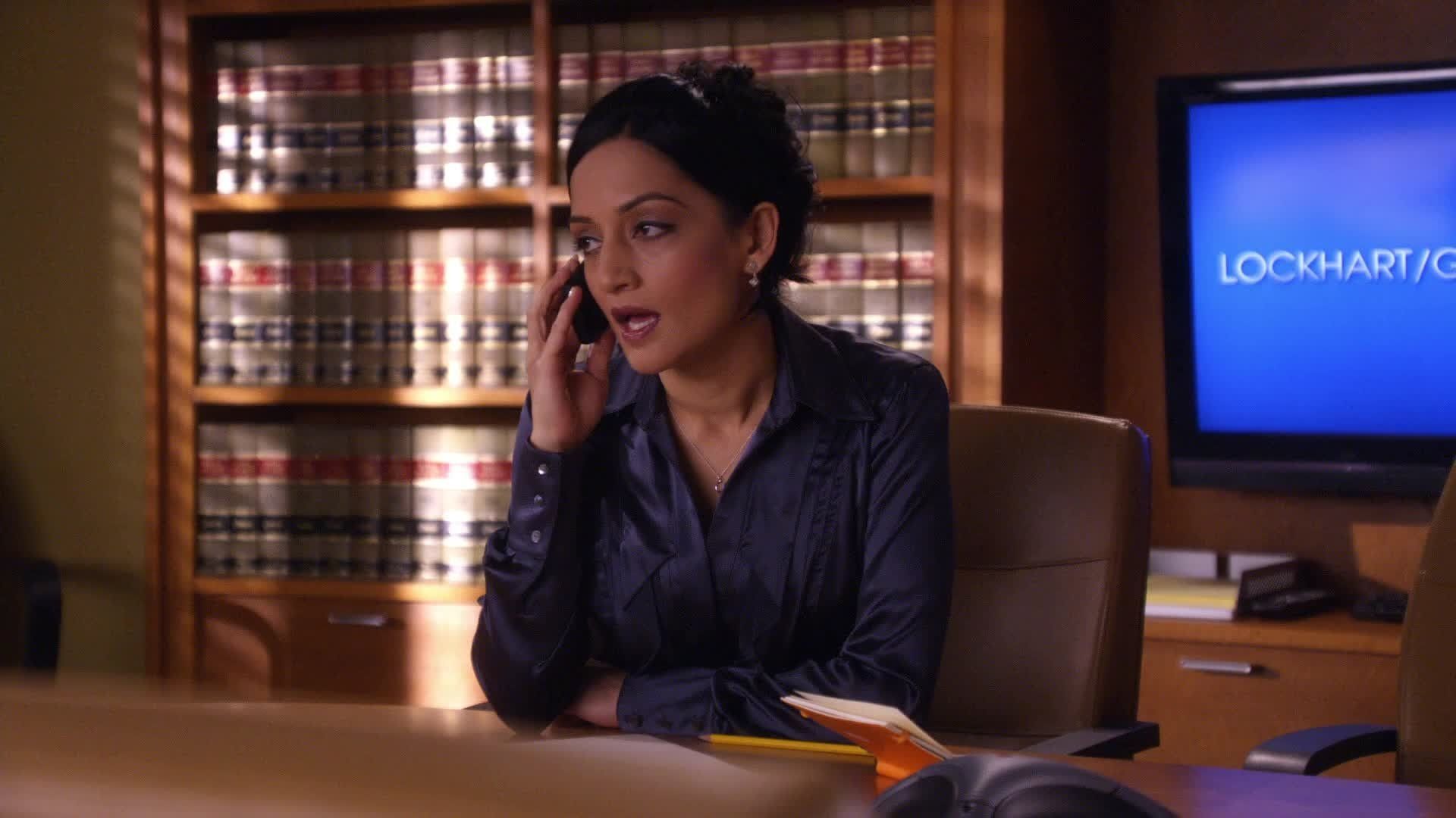 The Good Wife background
