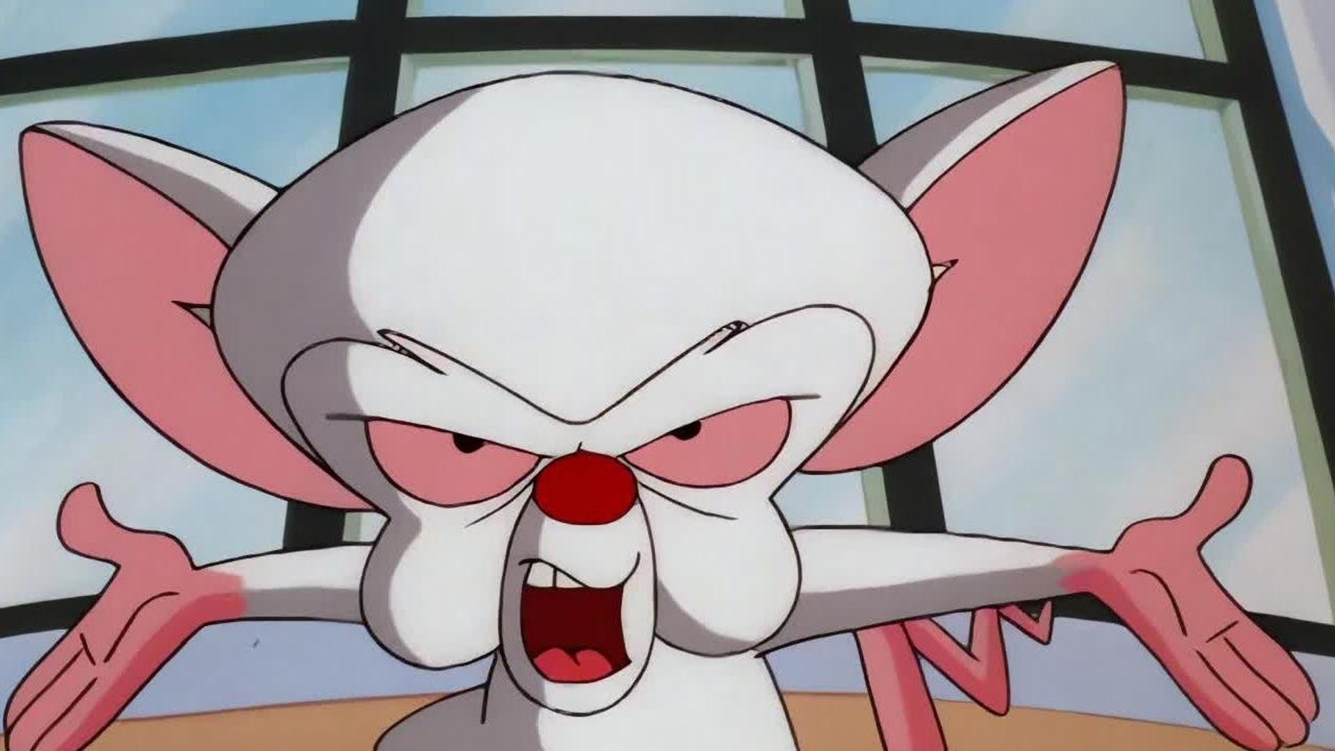 Pinky and the Brain background