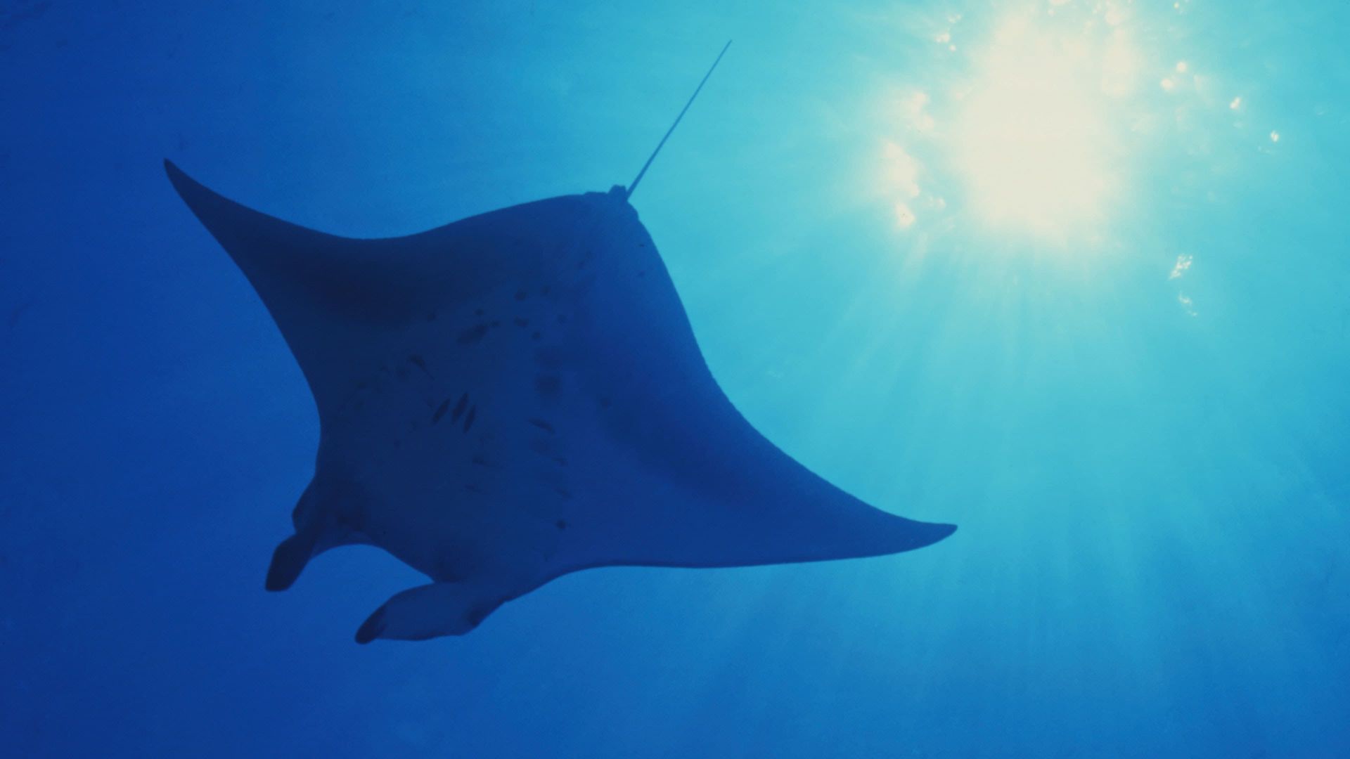 The Blue Planet background