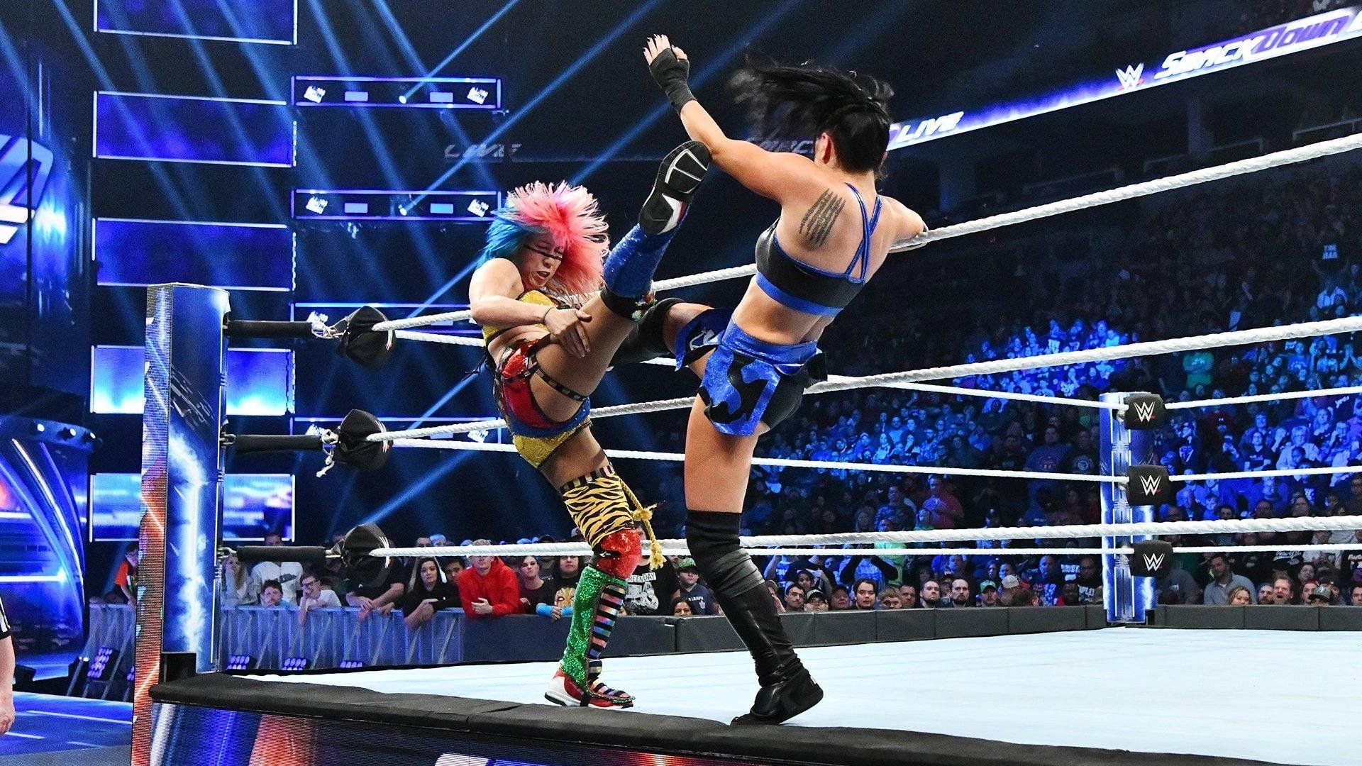 World Wrestling Federation Smackdown! background