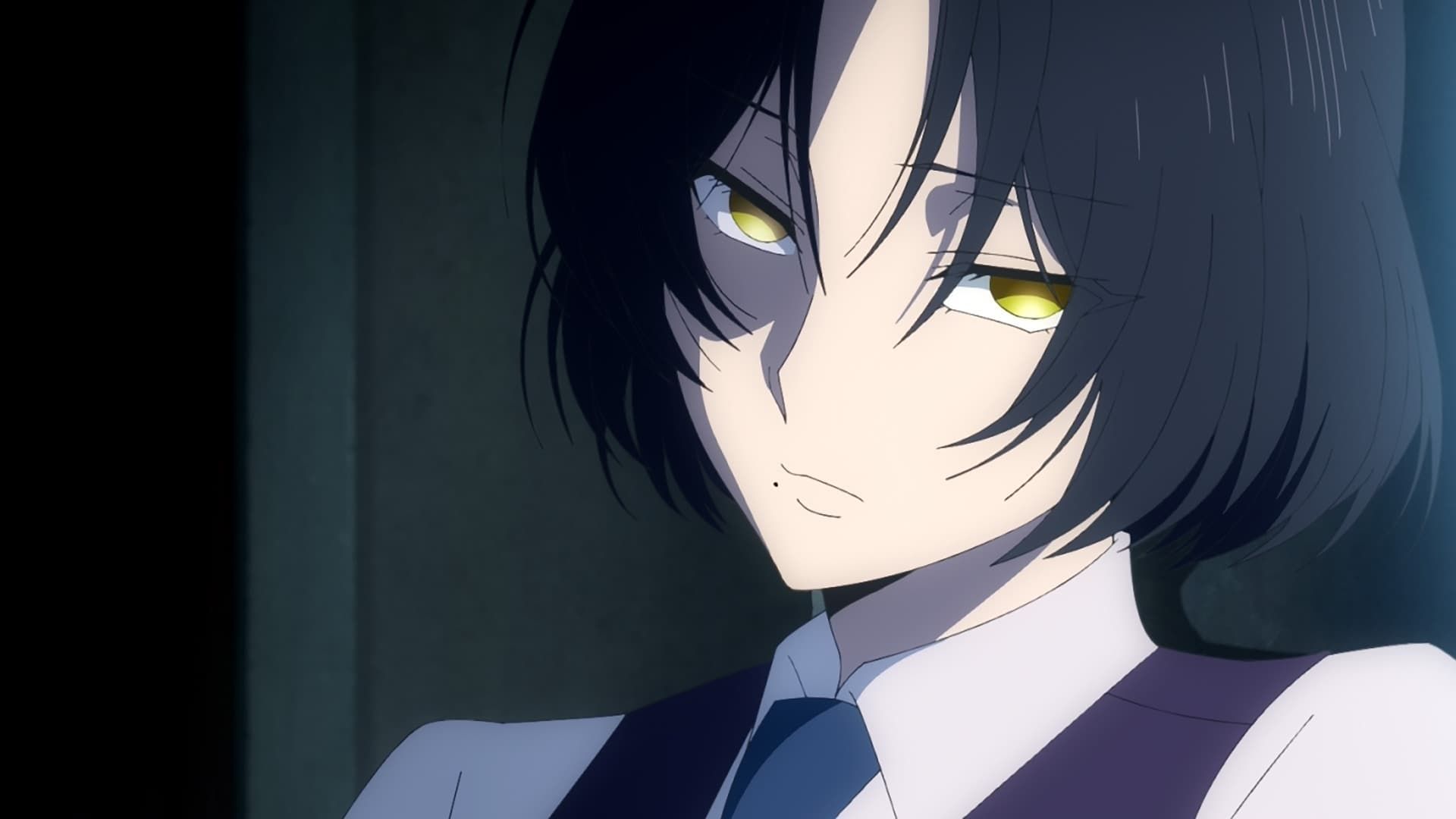 The Case Study of Vanitas background