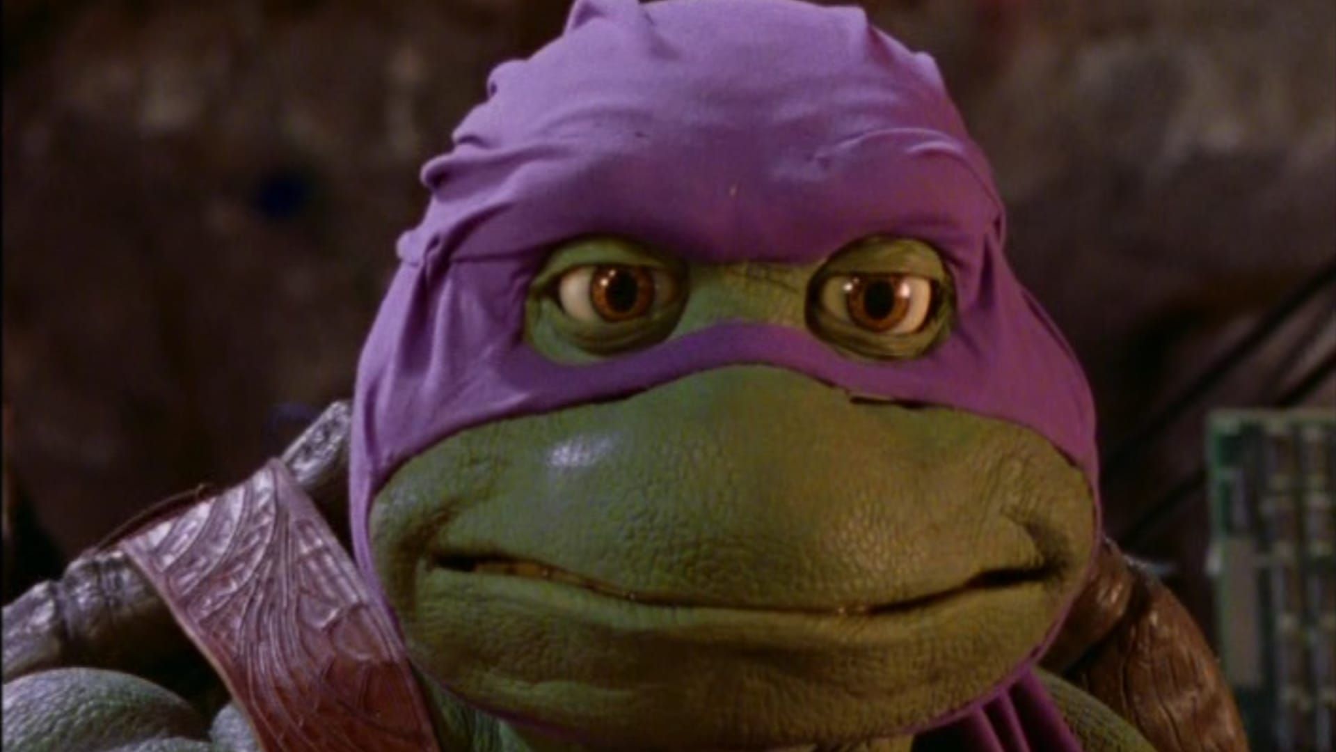 Ninja Turtles: The Next Mutation background