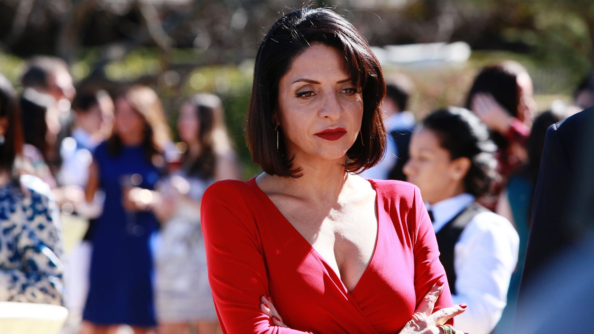 Queen of the South background