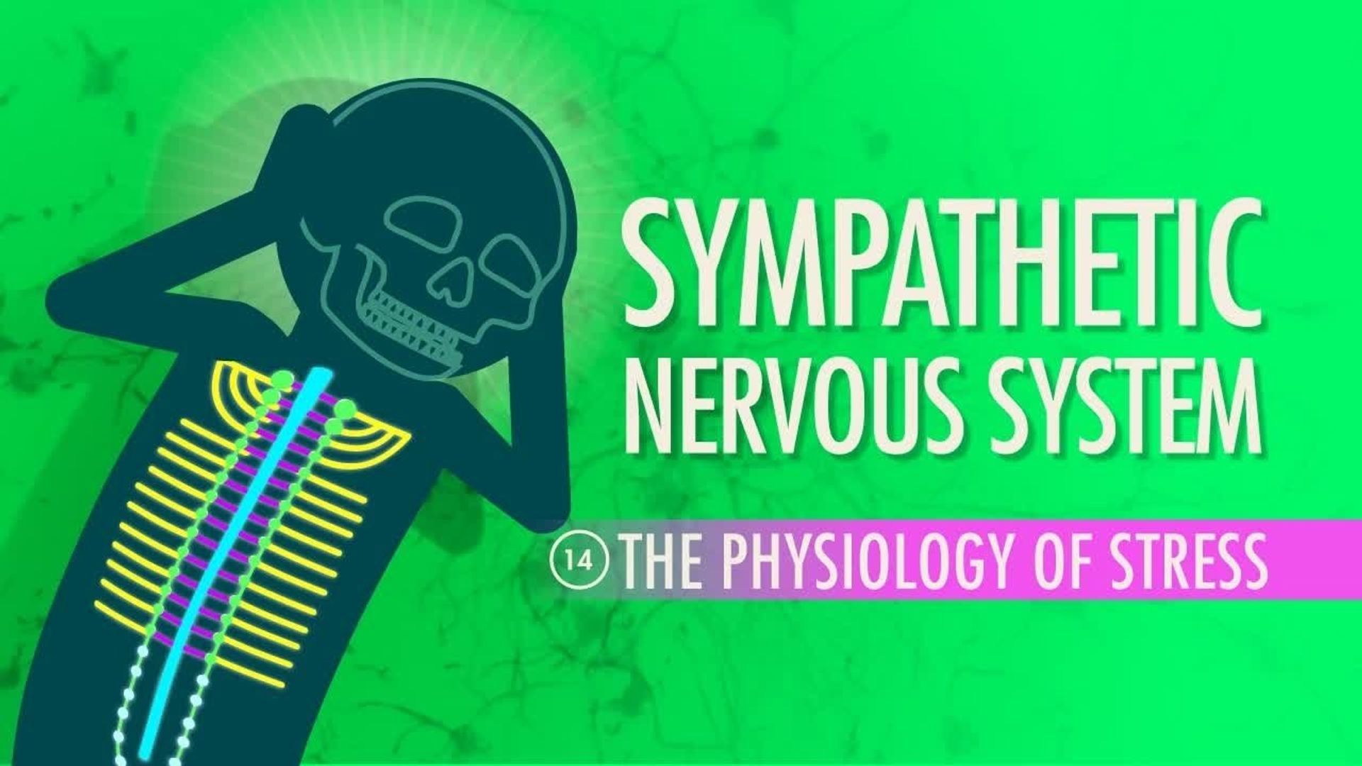 Crash Course: Anatomy & Physiology background
