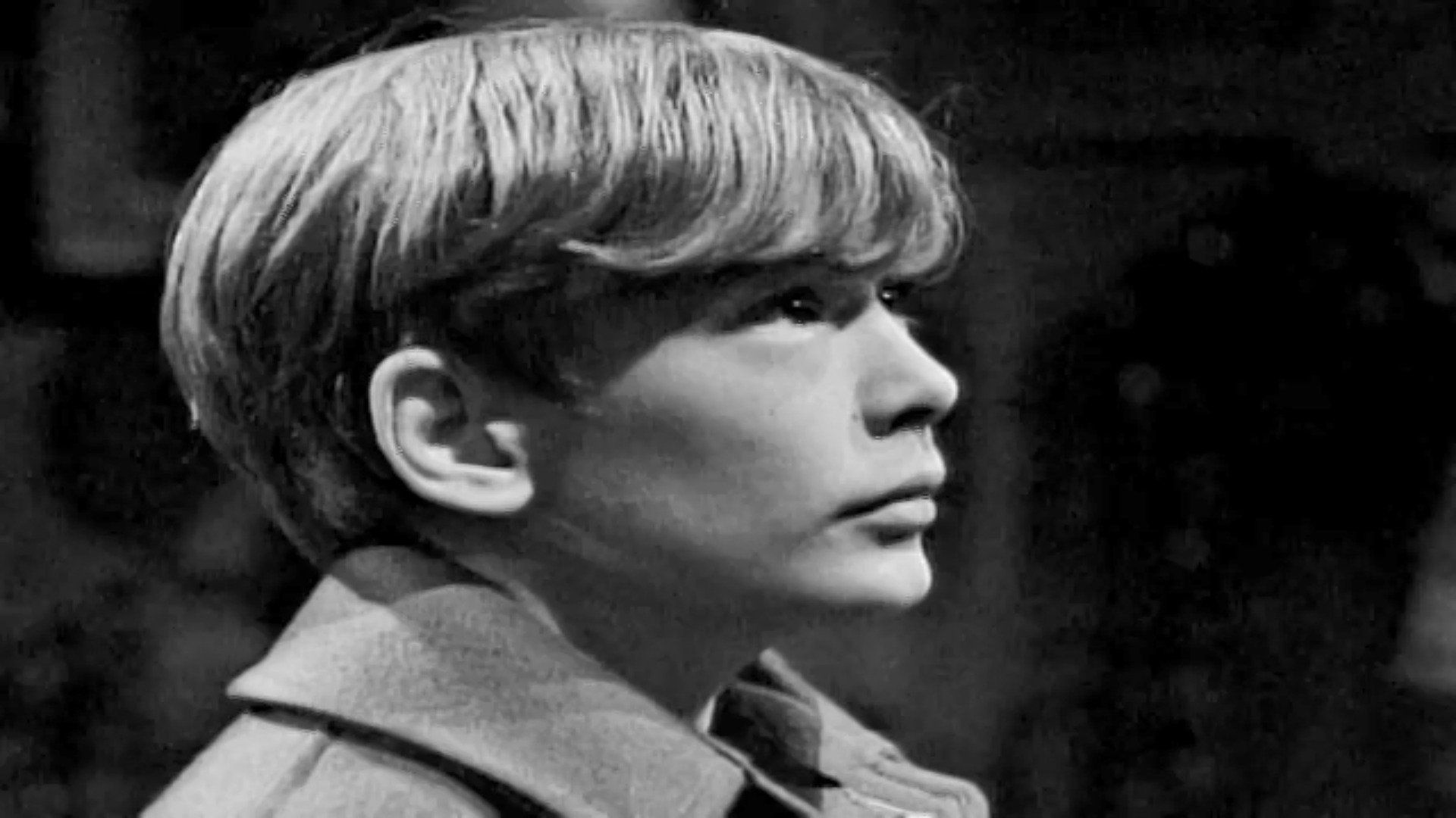 Dark Shadows background