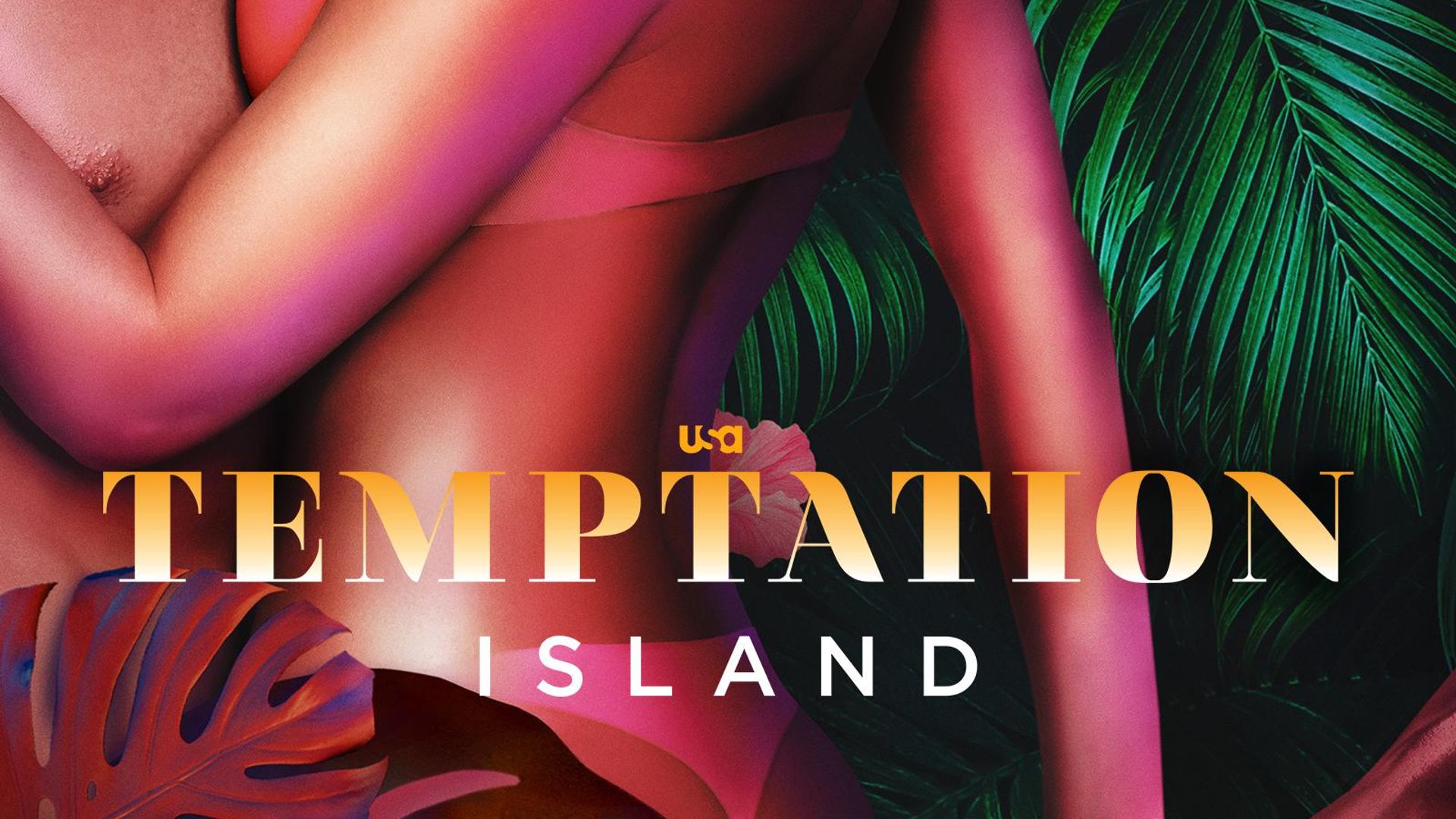 Temptation Island background