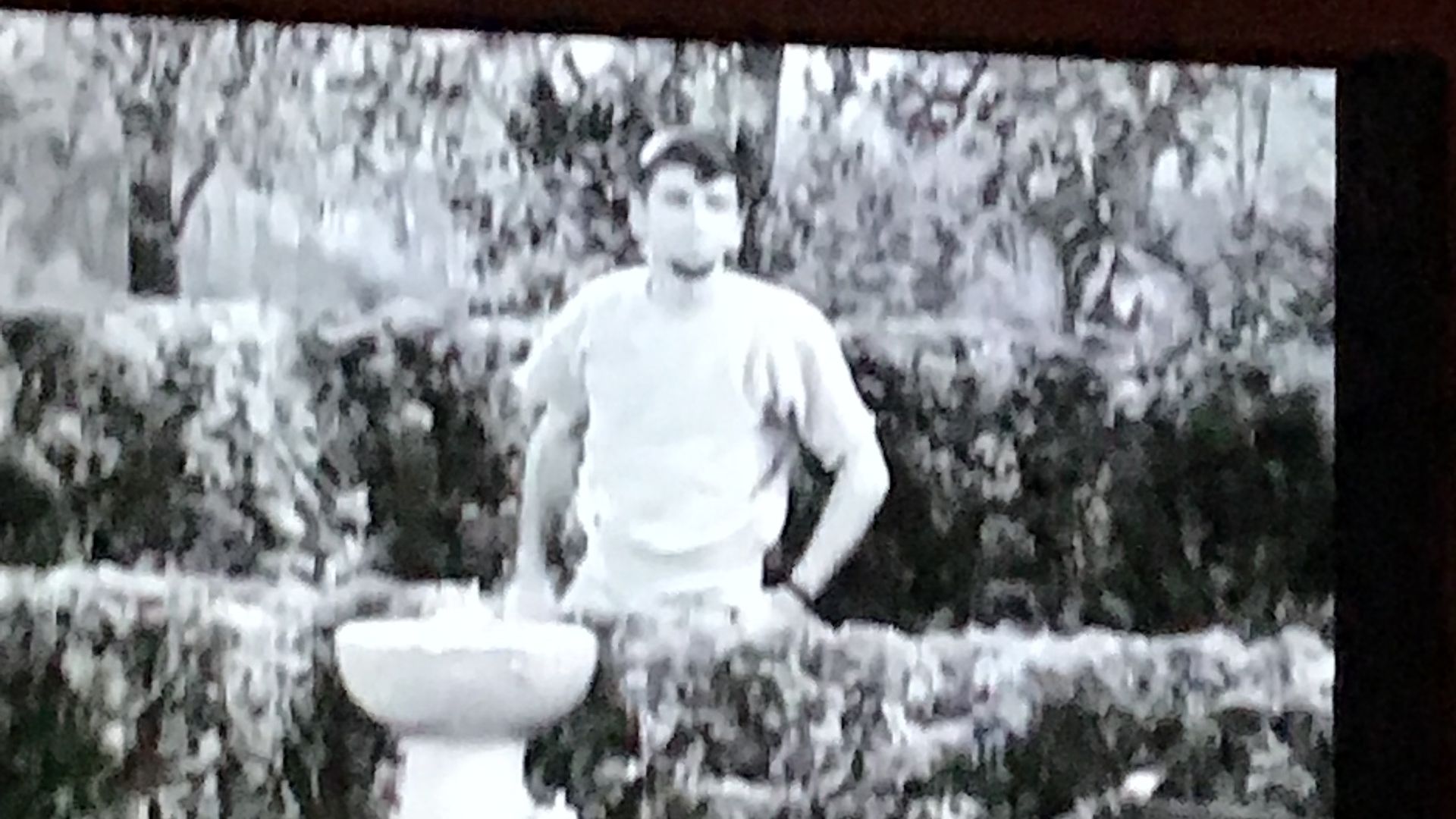 The Many Loves of Dobie Gillis background