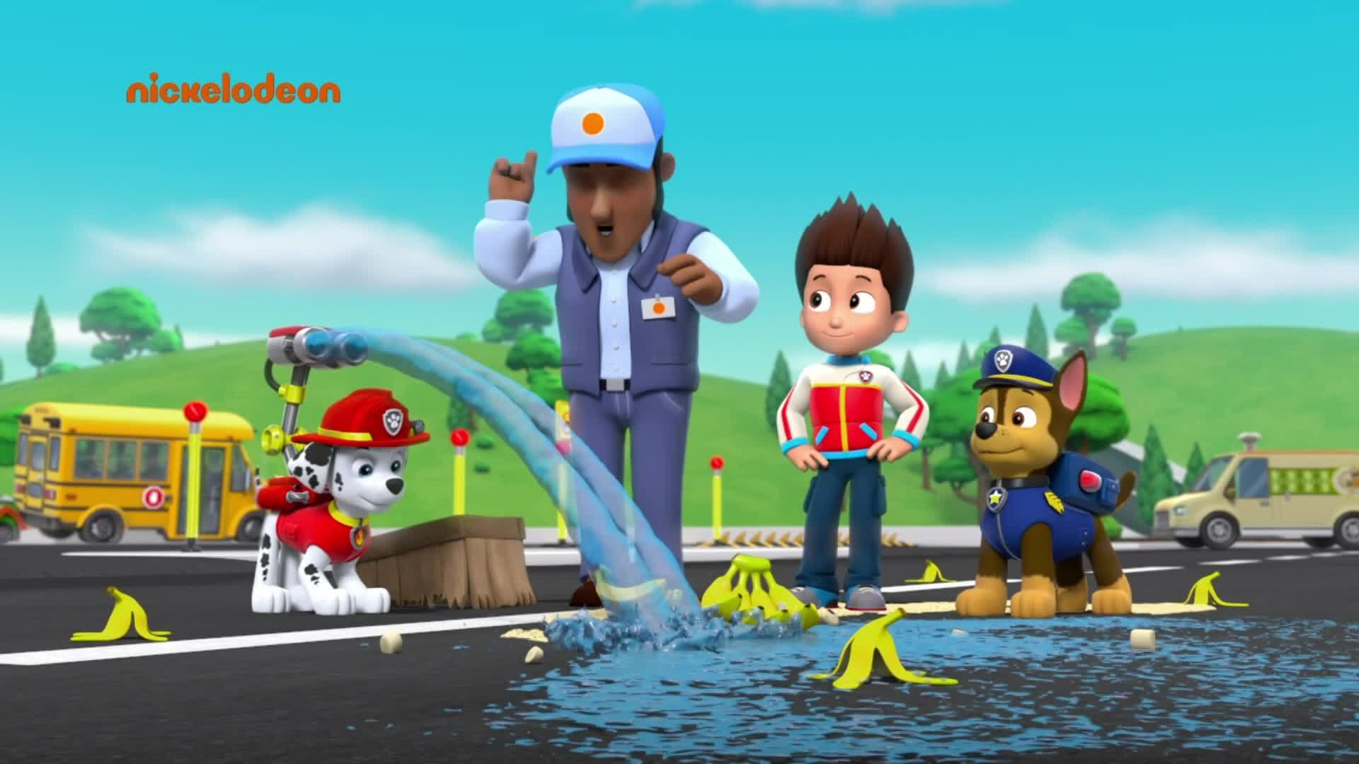 PAW Patrol background