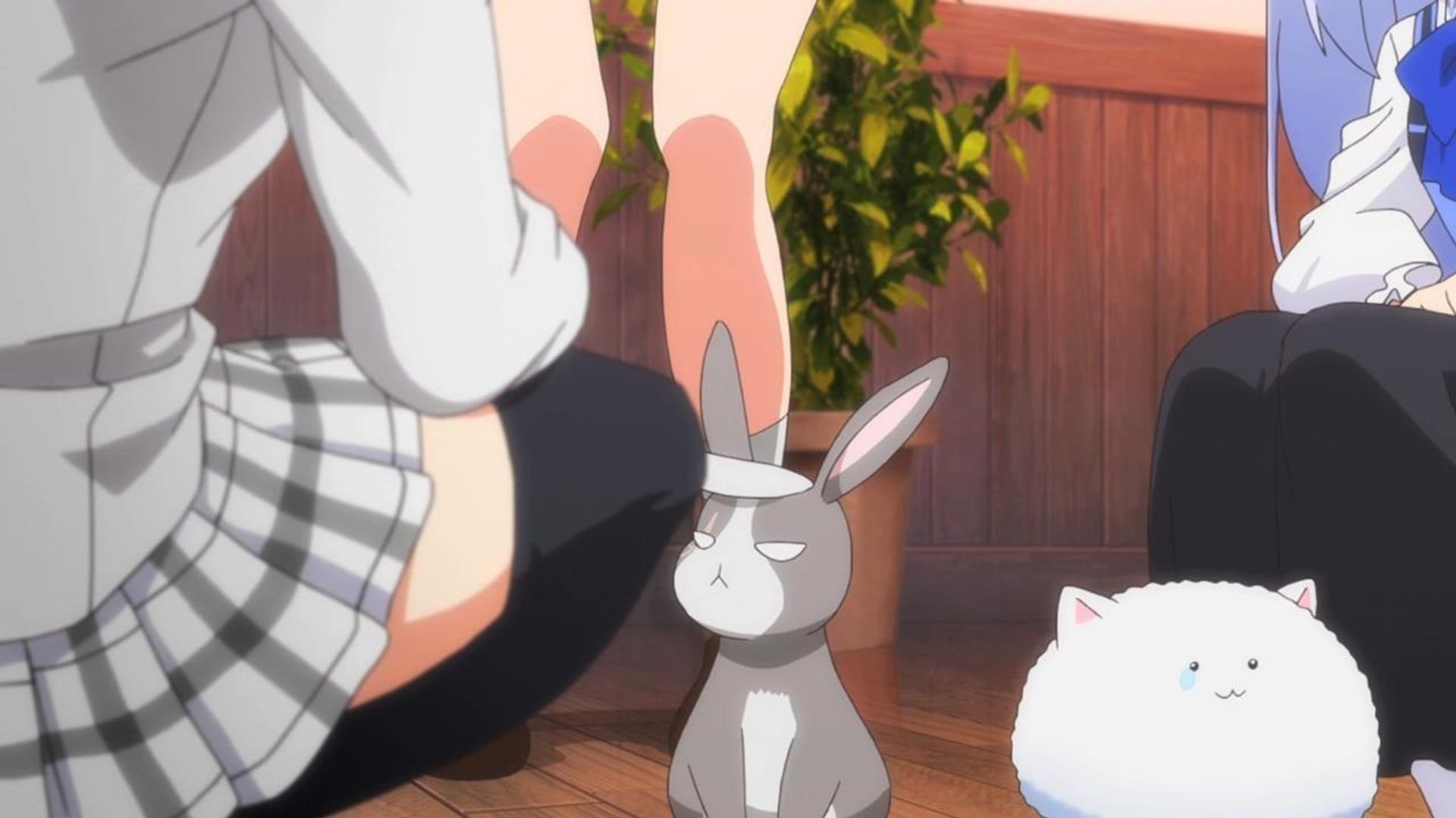 Is the Order a Rabbit? background