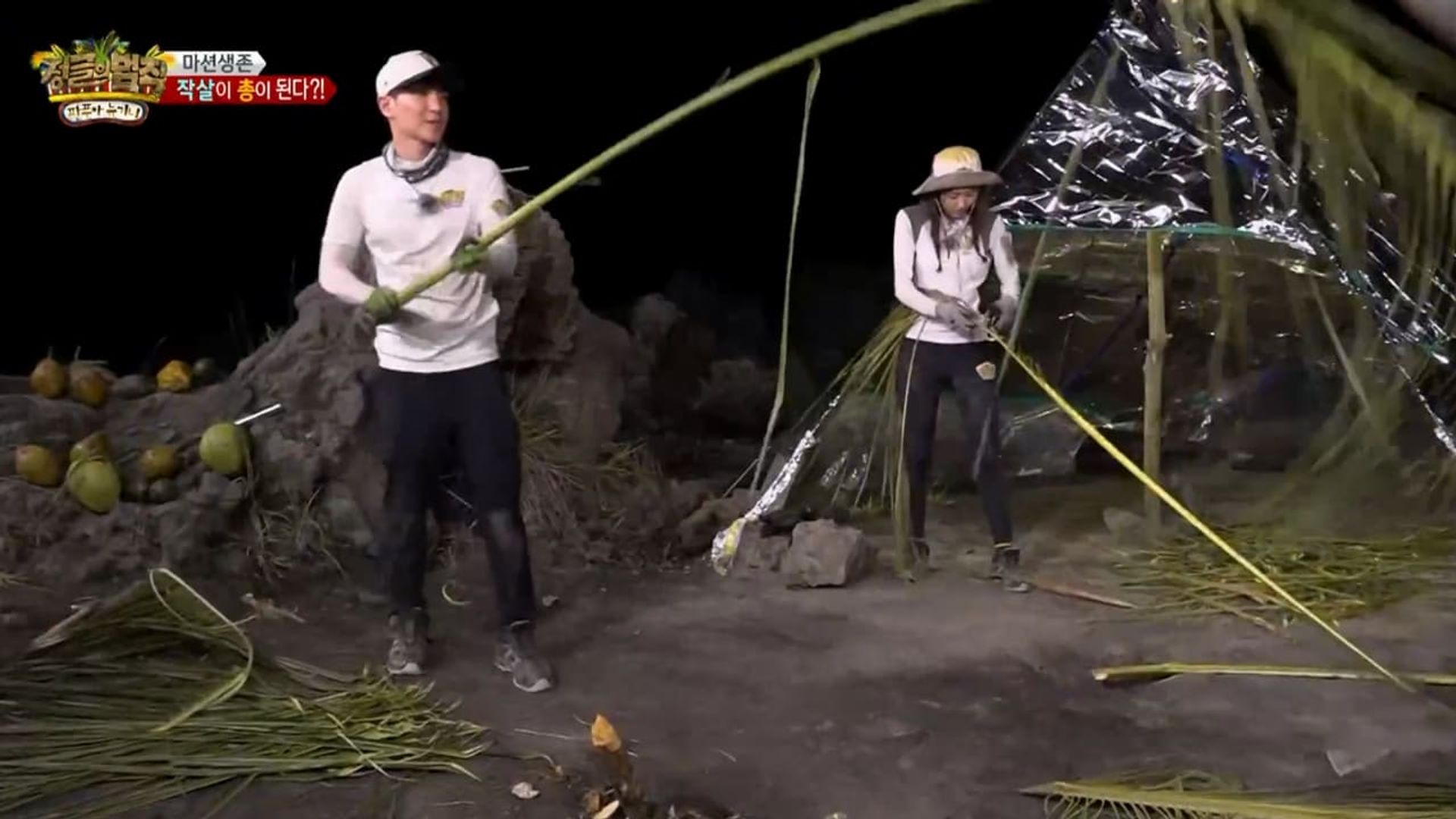 Law of the Jungle background