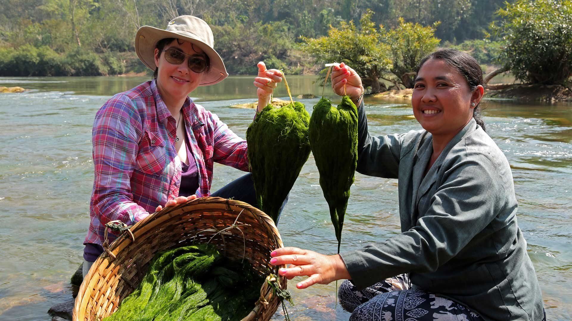 The Mekong River with Sue Perkins background