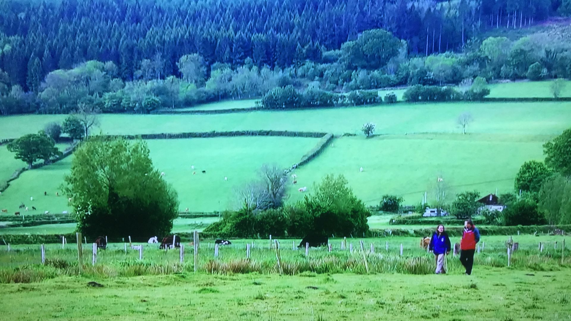 Escape to the Country background
