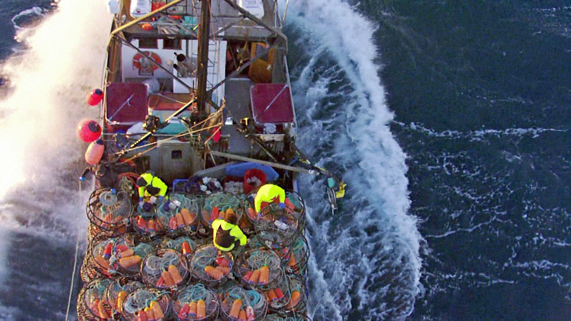 Deadliest Catch: Dungeon Cove background