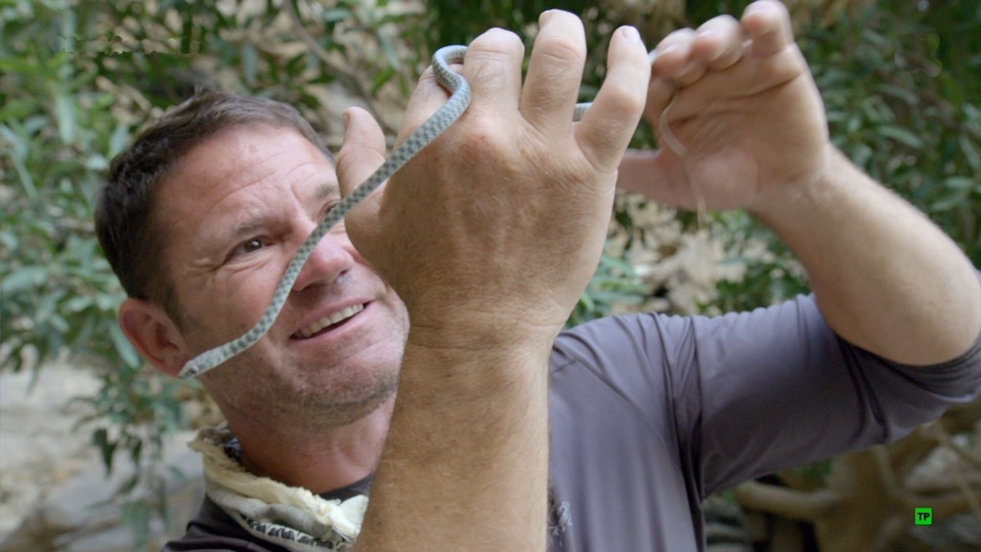 Expedition with Steve Backshall background