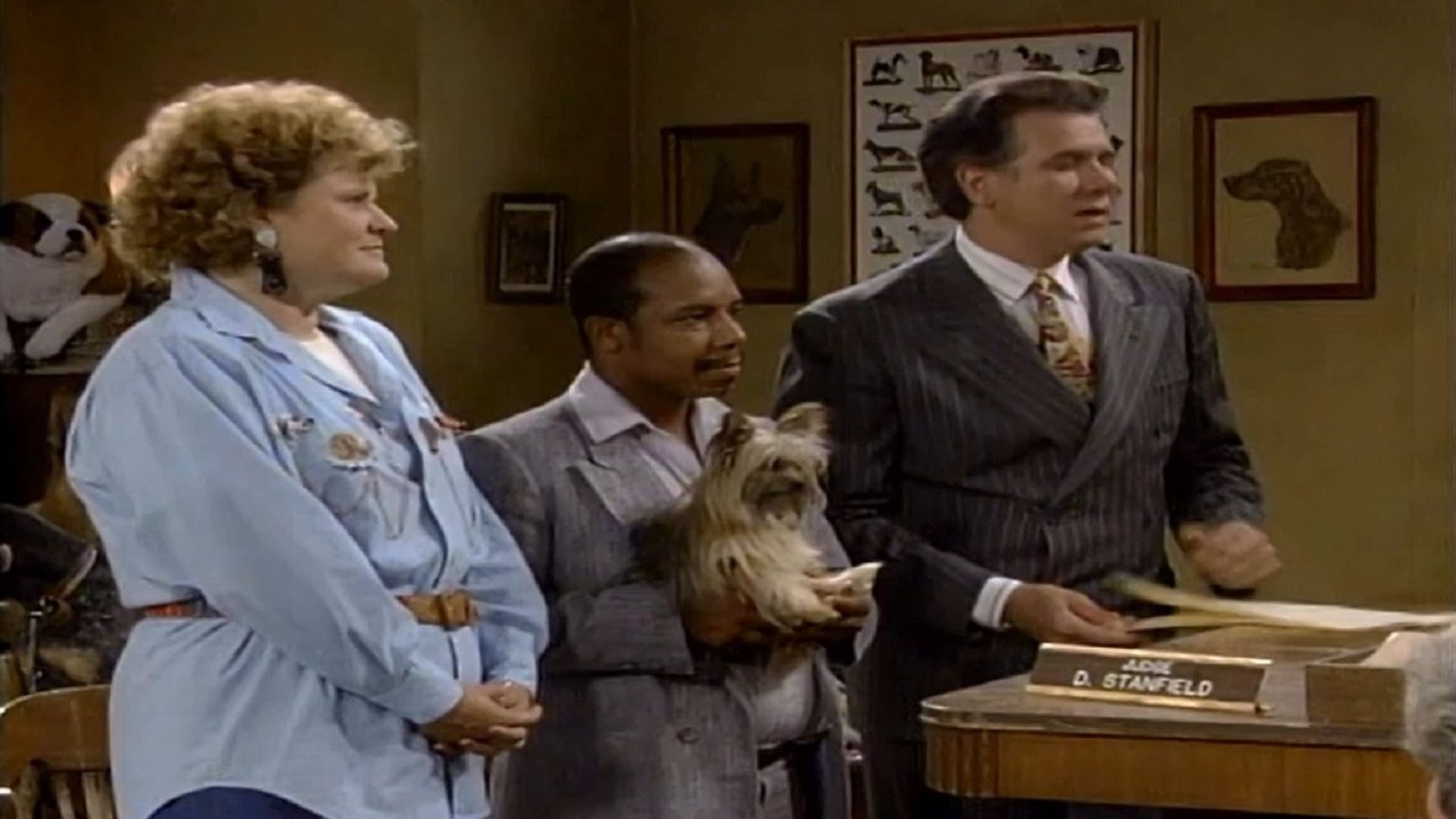 Night Court background