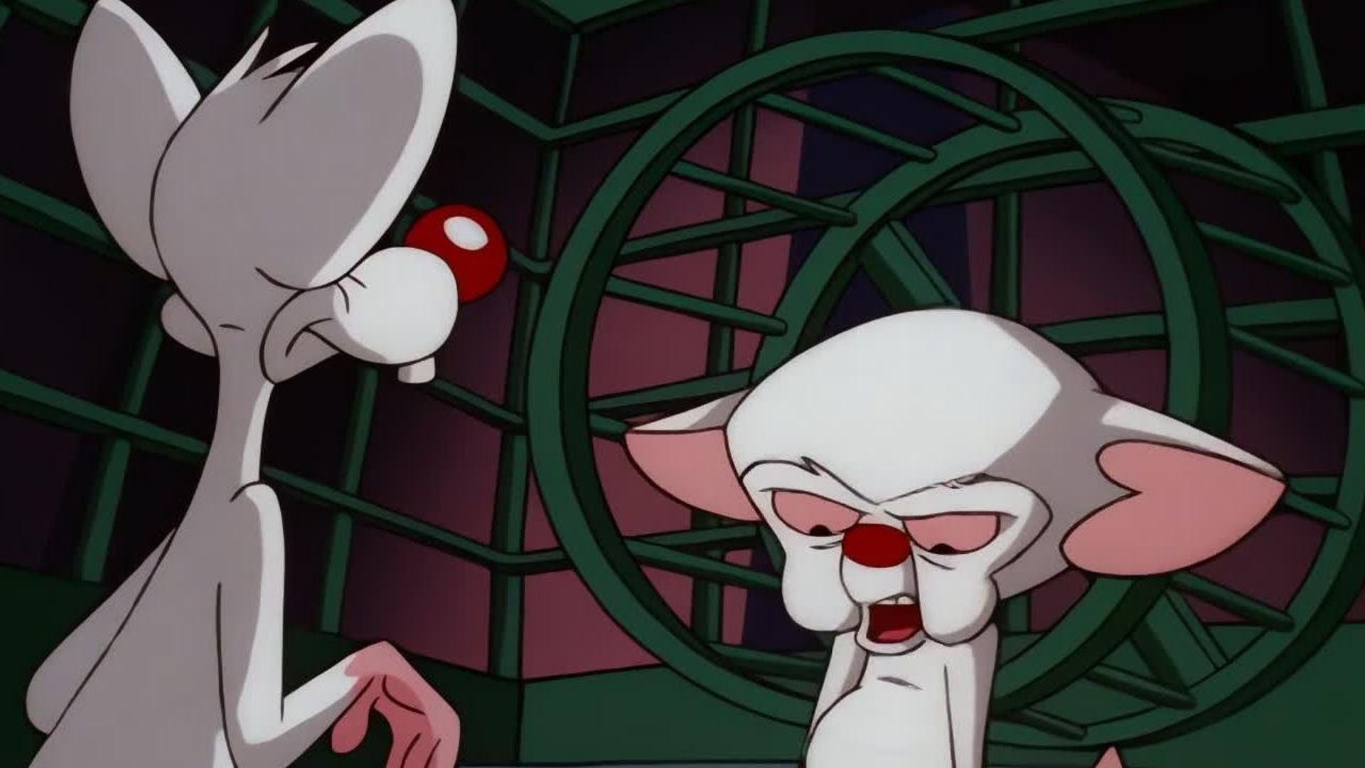 Pinky and the Brain background
