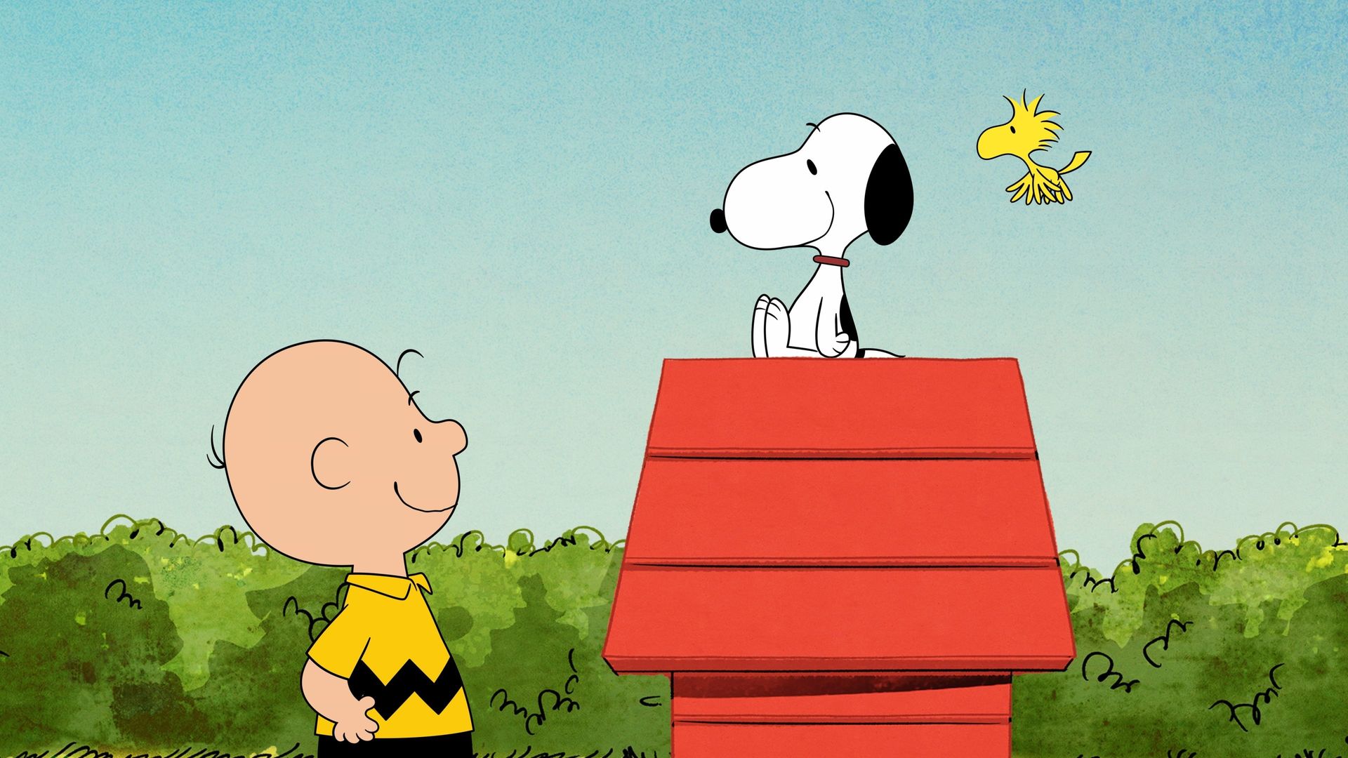 The Snoopy Show background