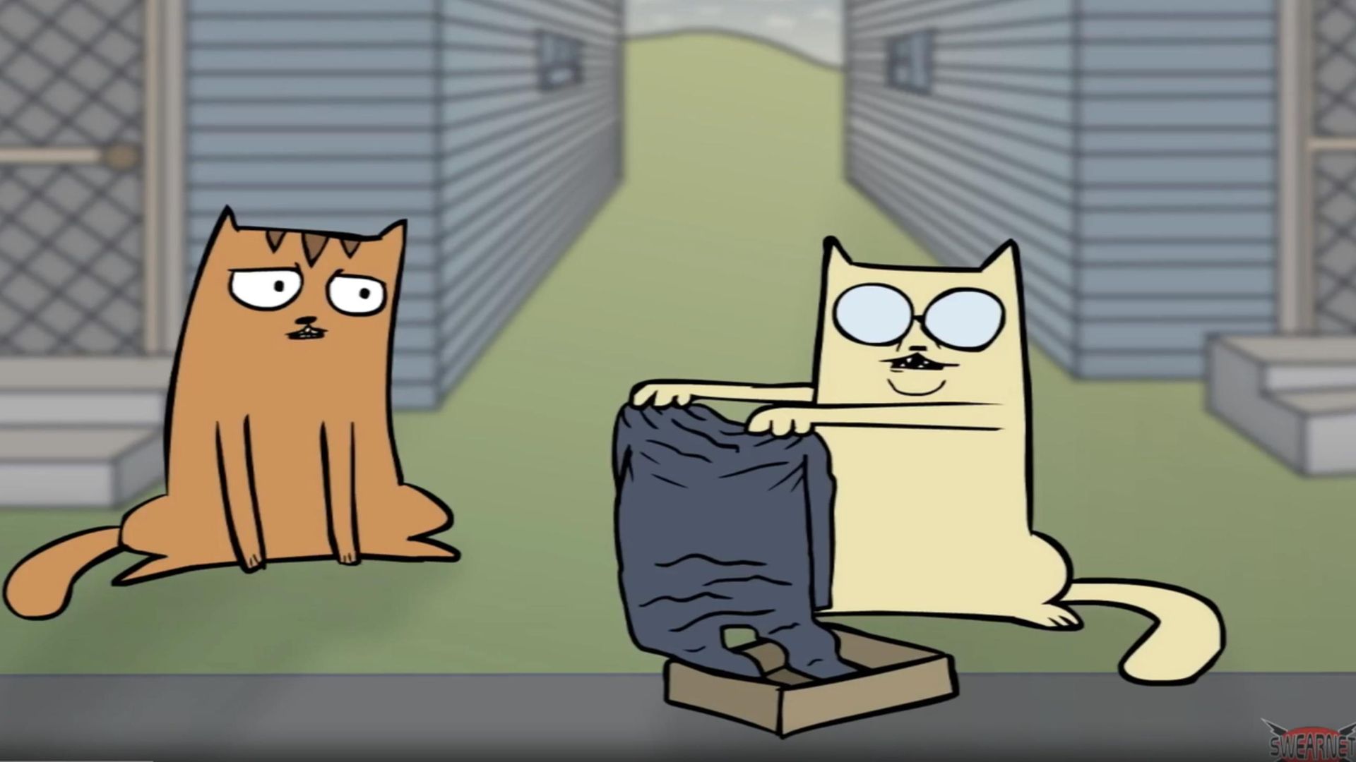 Trailer Park Boys: The SwearNet Show background