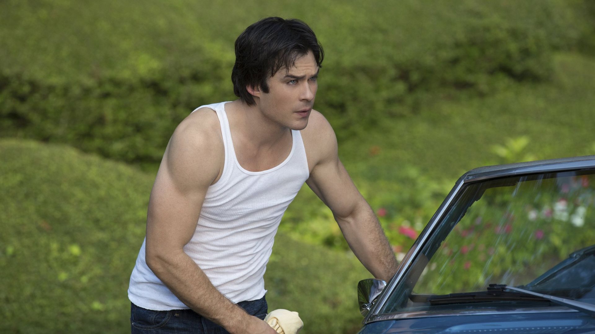 The Vampire Diaries background
