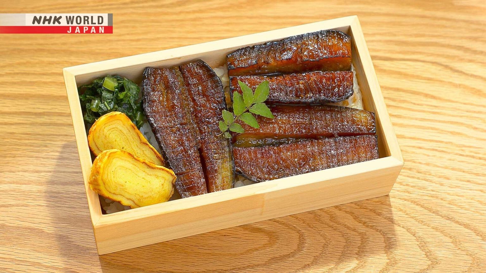 Bento Expo: The Global Lunchbox Project background